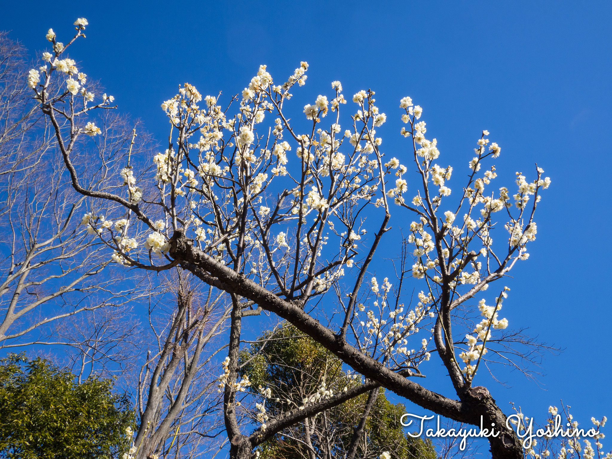 Panasonic Lumix G 14mm F2.5 ASPH sample photo. Olympus digital camera photography