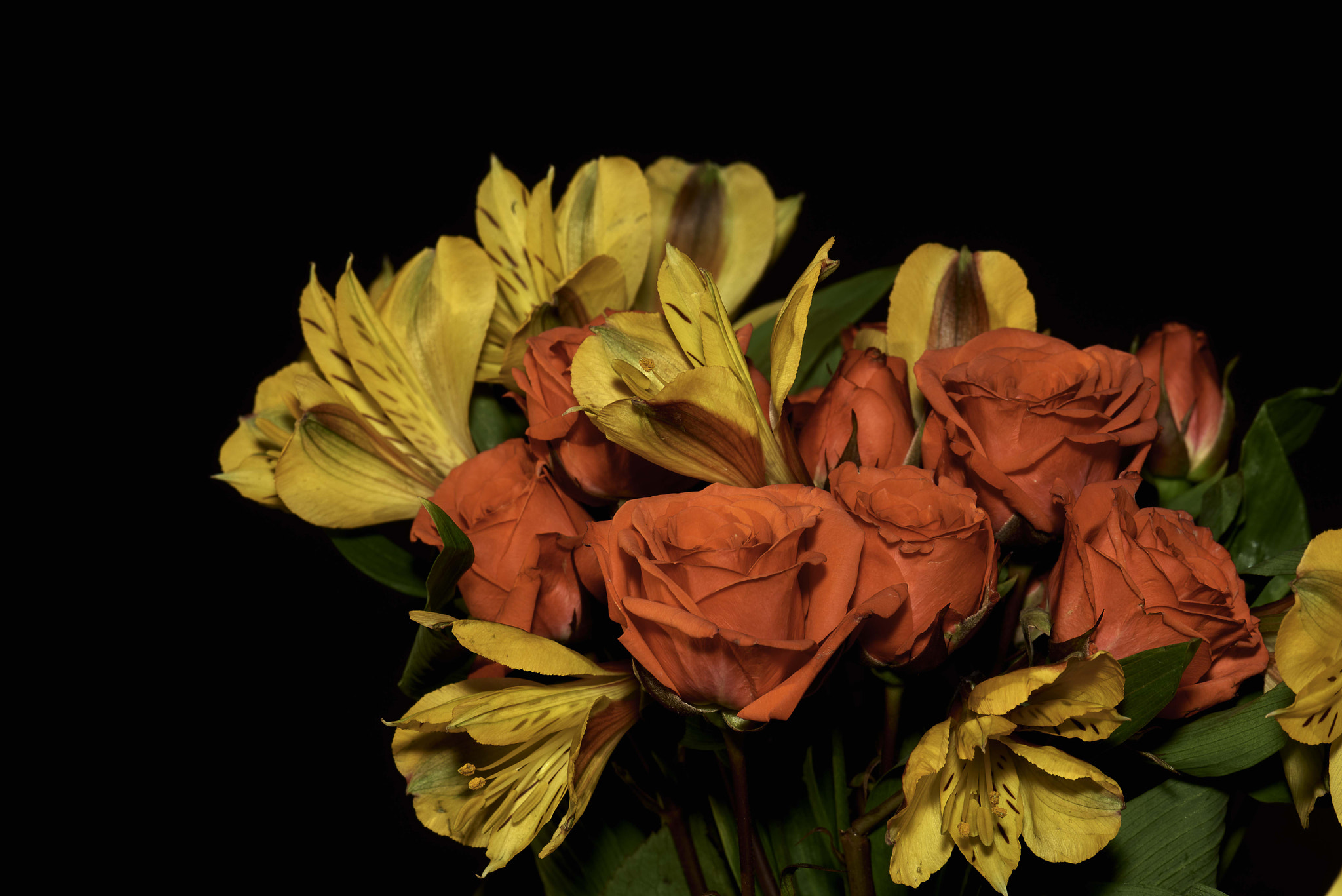 Nikon D800 sample photo. Colorful flowers photography