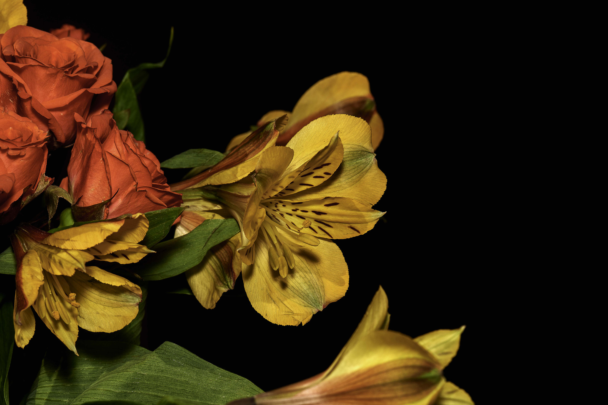 Nikon D800 sample photo. Splash of color photography