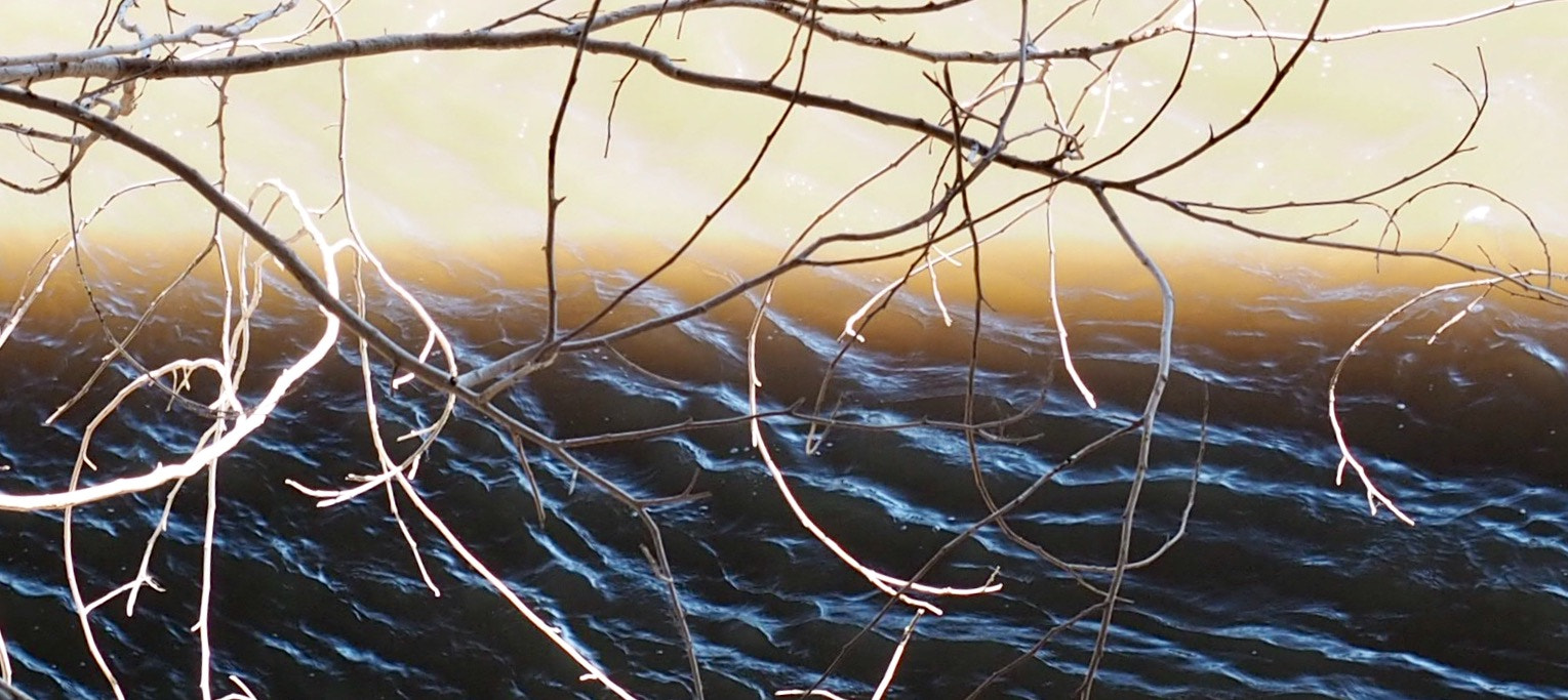 Olympus OM-D E-M10 sample photo. Twigs over water photography