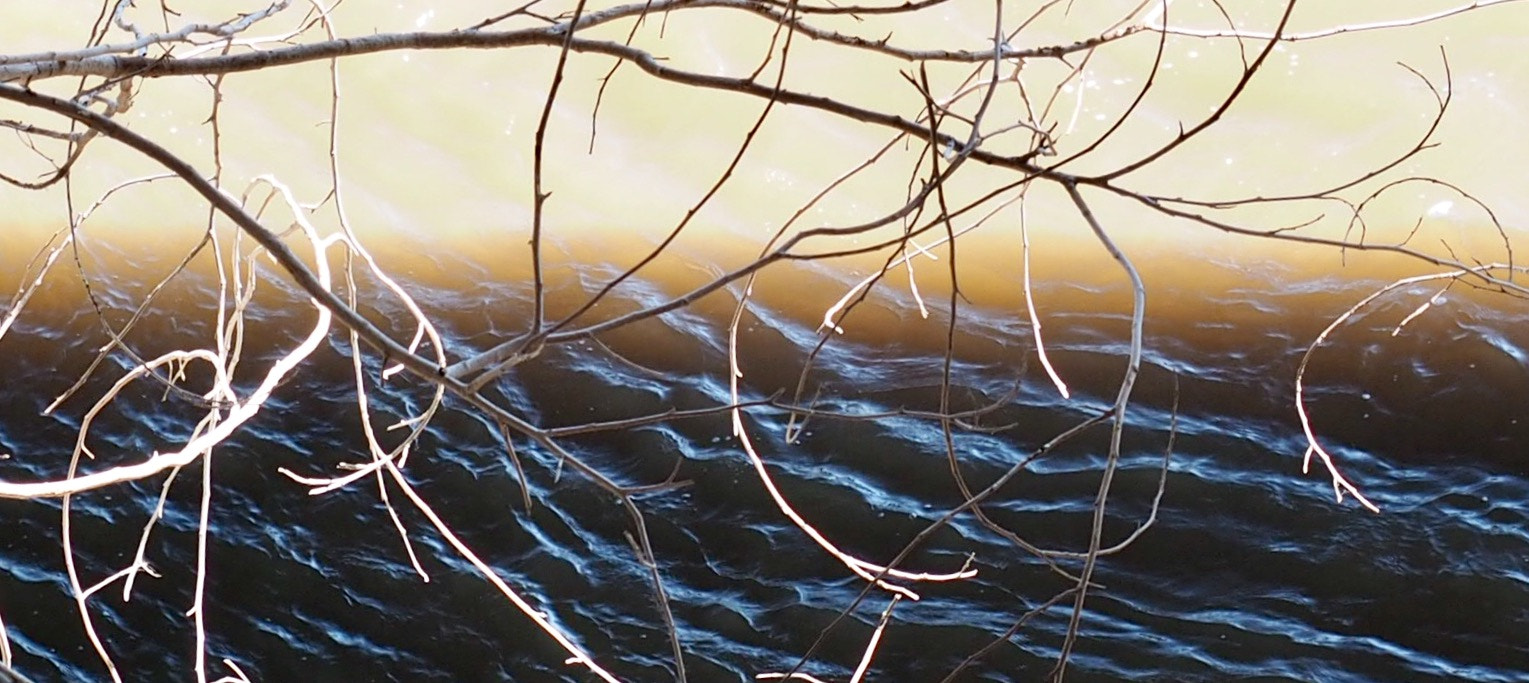 Olympus M.Zuiko Digital ED 12-40mm F2.8 Pro sample photo. Twigs over water photography