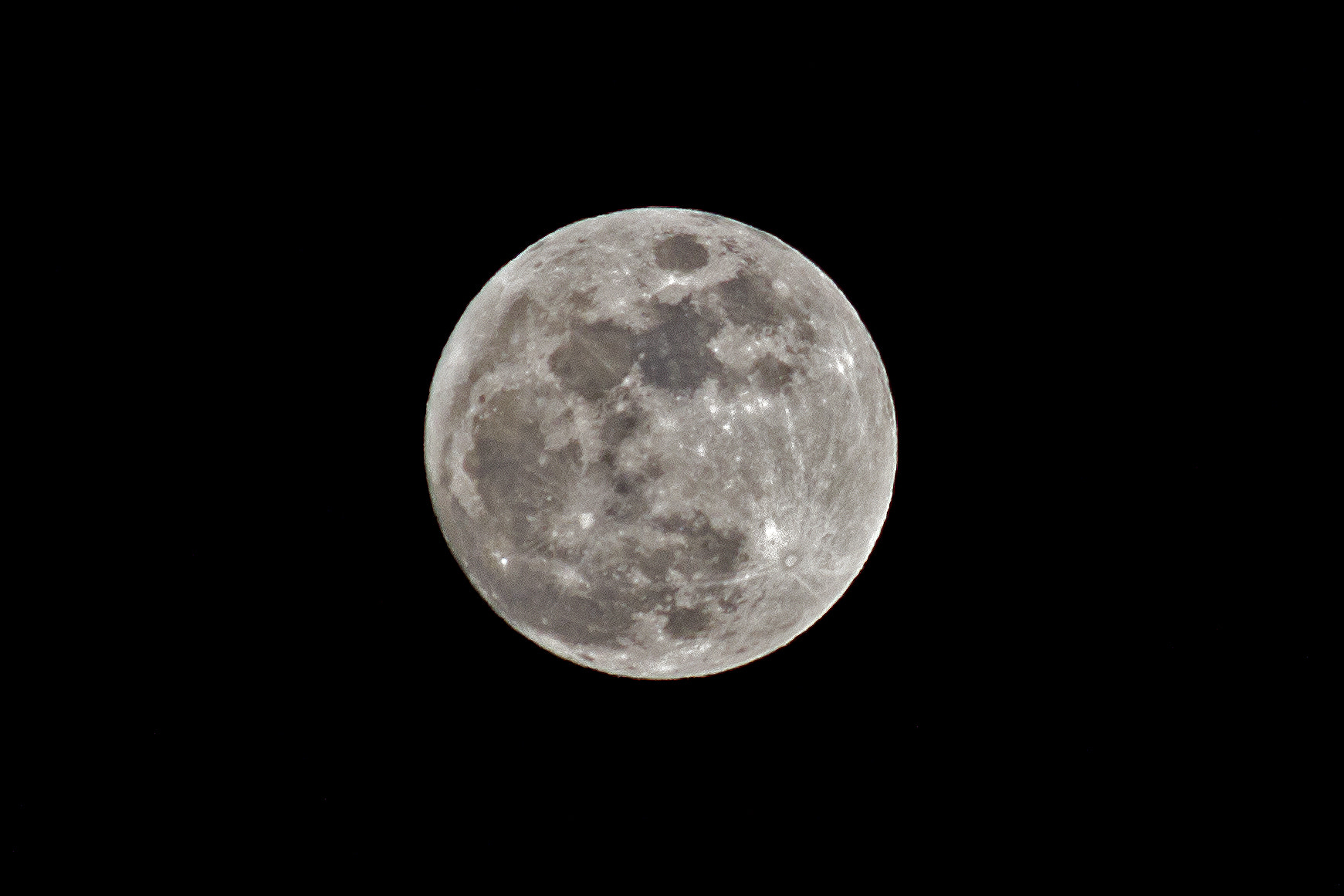 Canon EF 70-300mm F4-5.6 IS USM sample photo. 365/042 photography