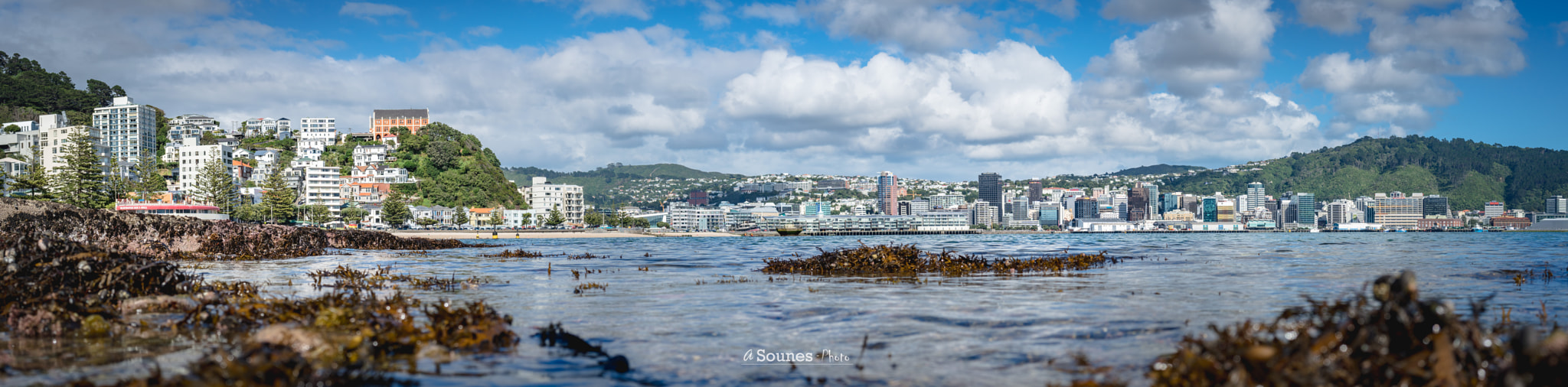 Sony a6300 sample photo. Capital low tide photography