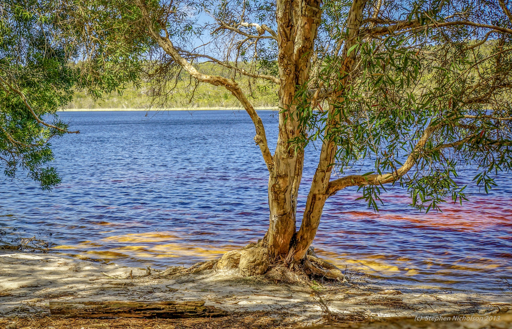 Sony Alpha NEX-7 + Sony E 18-200mm F3.5-6.3 OSS sample photo. Brown lake in the morning photography