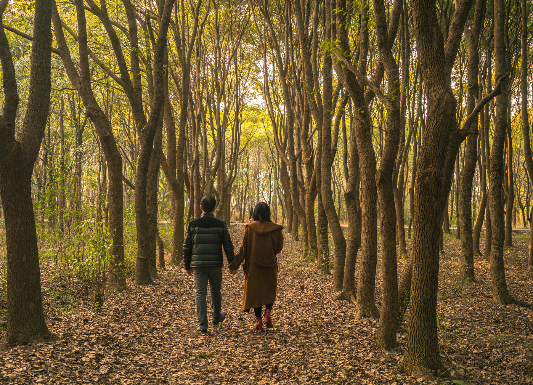 Sony a7R II + Sony Sonnar T* FE 35mm F2.8 ZA sample photo. Feeling the love photography
