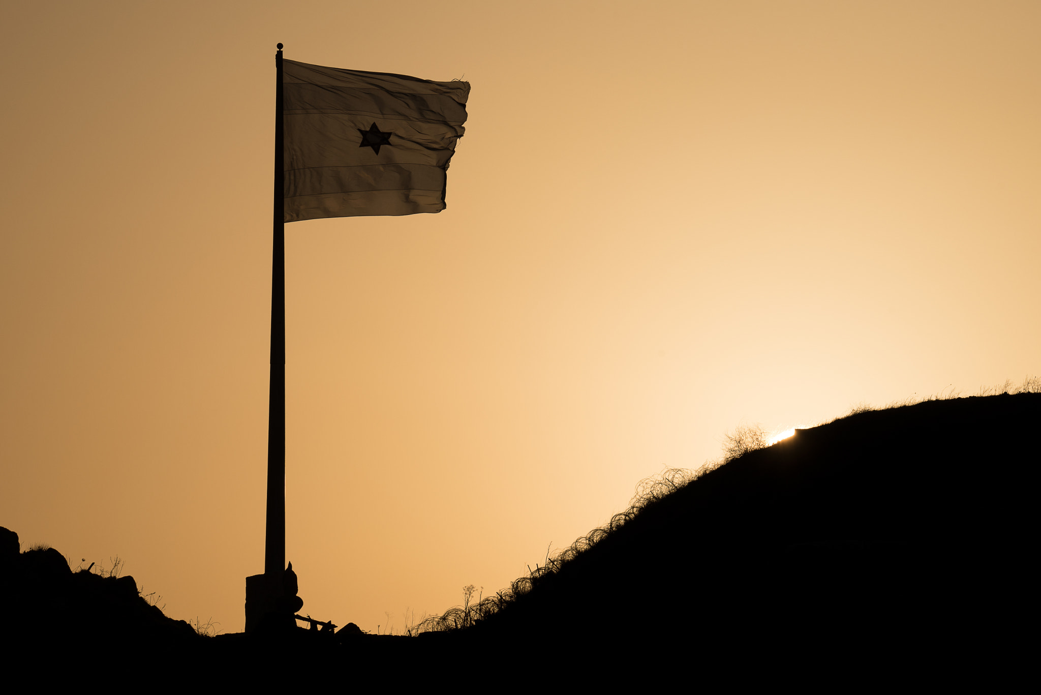 Nikon D750 + Sigma 50mm F2.8 EX DG Macro sample photo. The flag photography