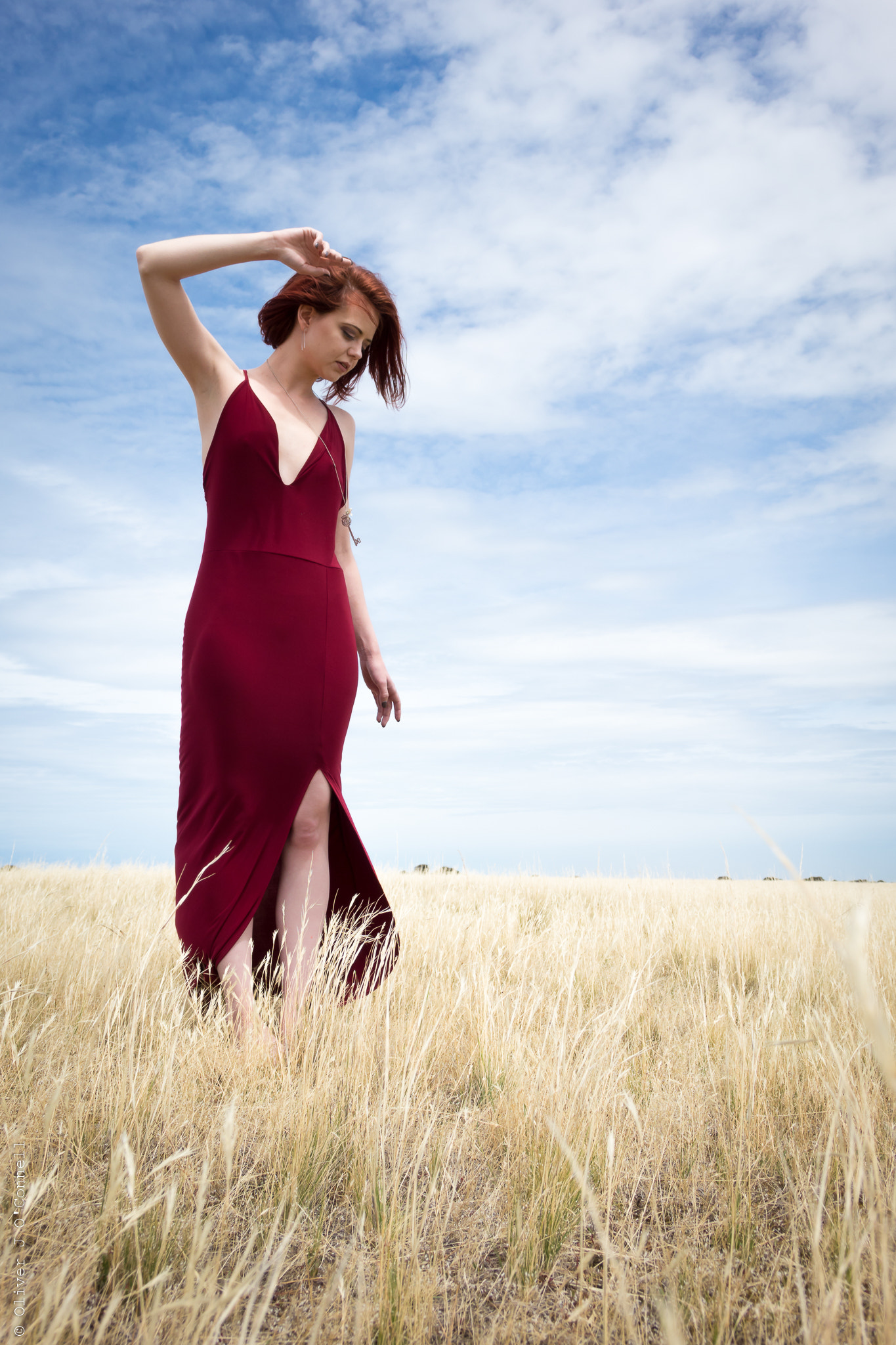 Sony Cyber-shot DSC-RX10 + 24-200mm F2.8 sample photo. Field beauty photography