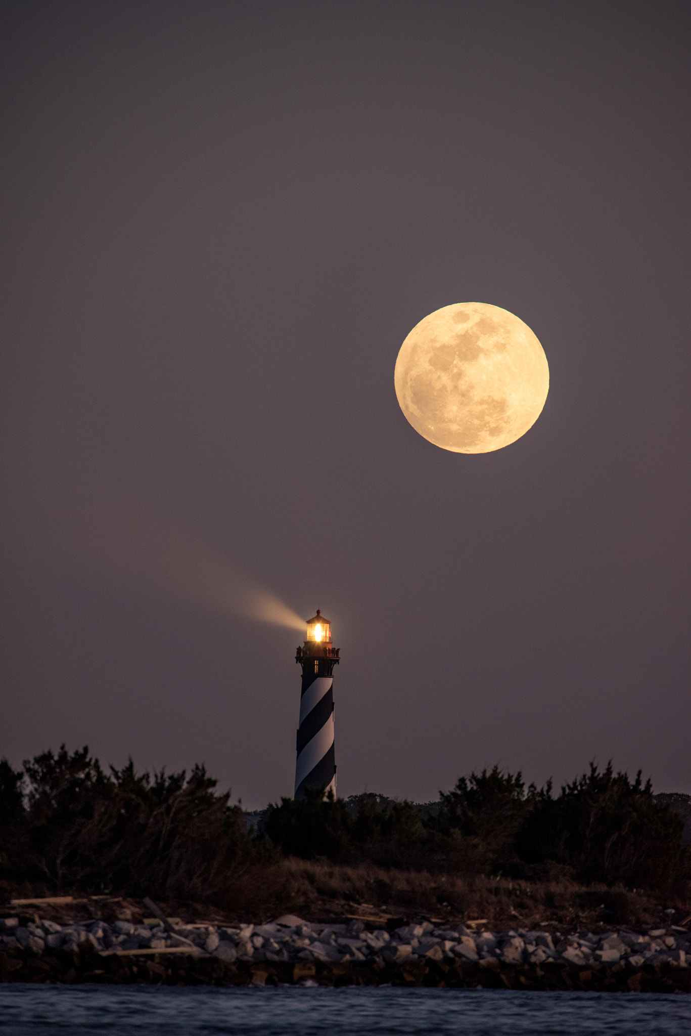 Nikon D810 + Nikon AF-S Nikkor 300mm F2.8G ED VR II sample photo. St augustine lh photography