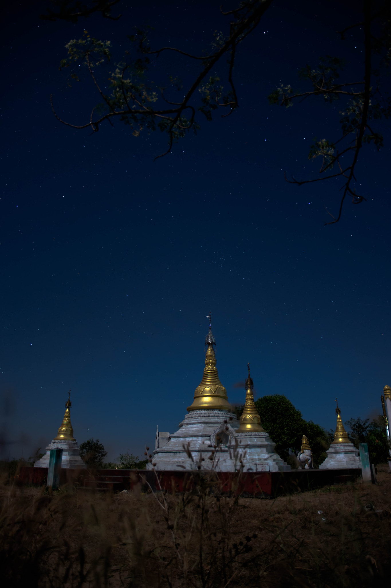 Nikon D7200 sample photo. Stars photography