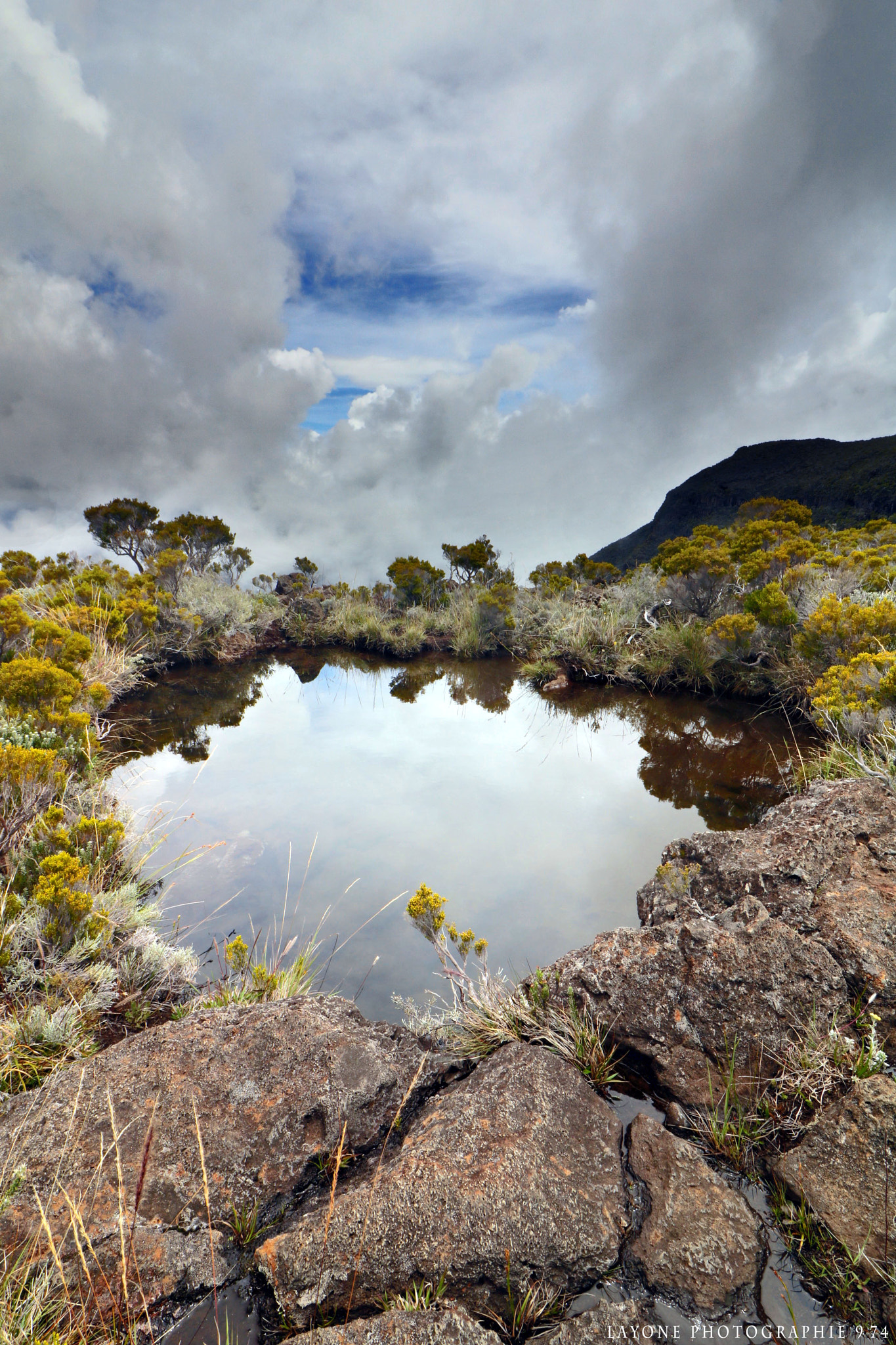 Canon EOS 760D (EOS Rebel T6s / EOS 8000D) sample photo. Île de la réunion _piscine naturel  photography