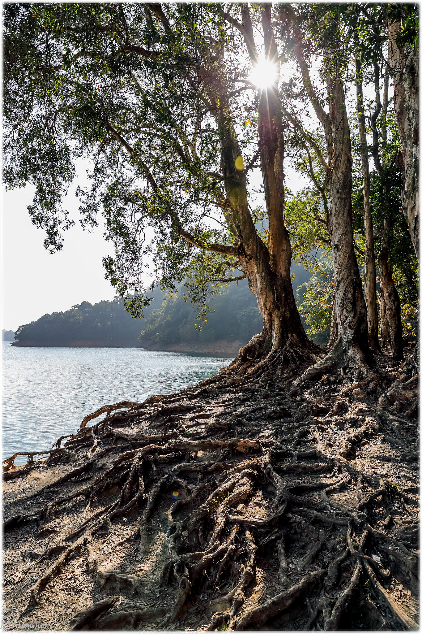 Canon EF 24-70mm F2.8L II USM sample photo. Power of nature photography