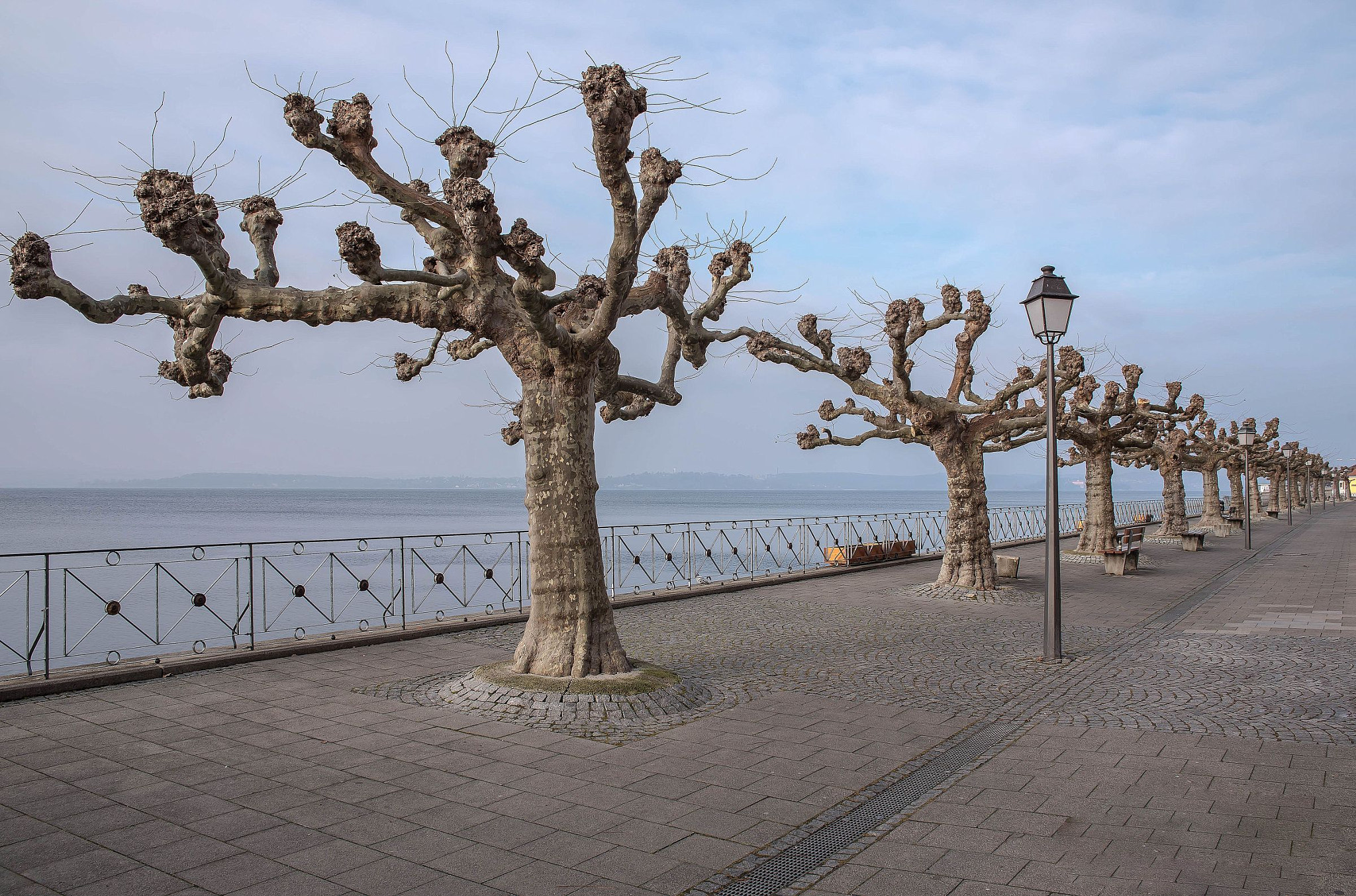 Sigma 24-70mm F2.8 EX DG HSM sample photo. Ready for spring photography