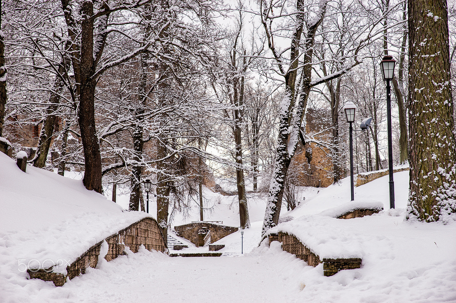 Sony a99 II + Tamron SP 24-70mm F2.8 Di VC USD sample photo. Winter. photography
