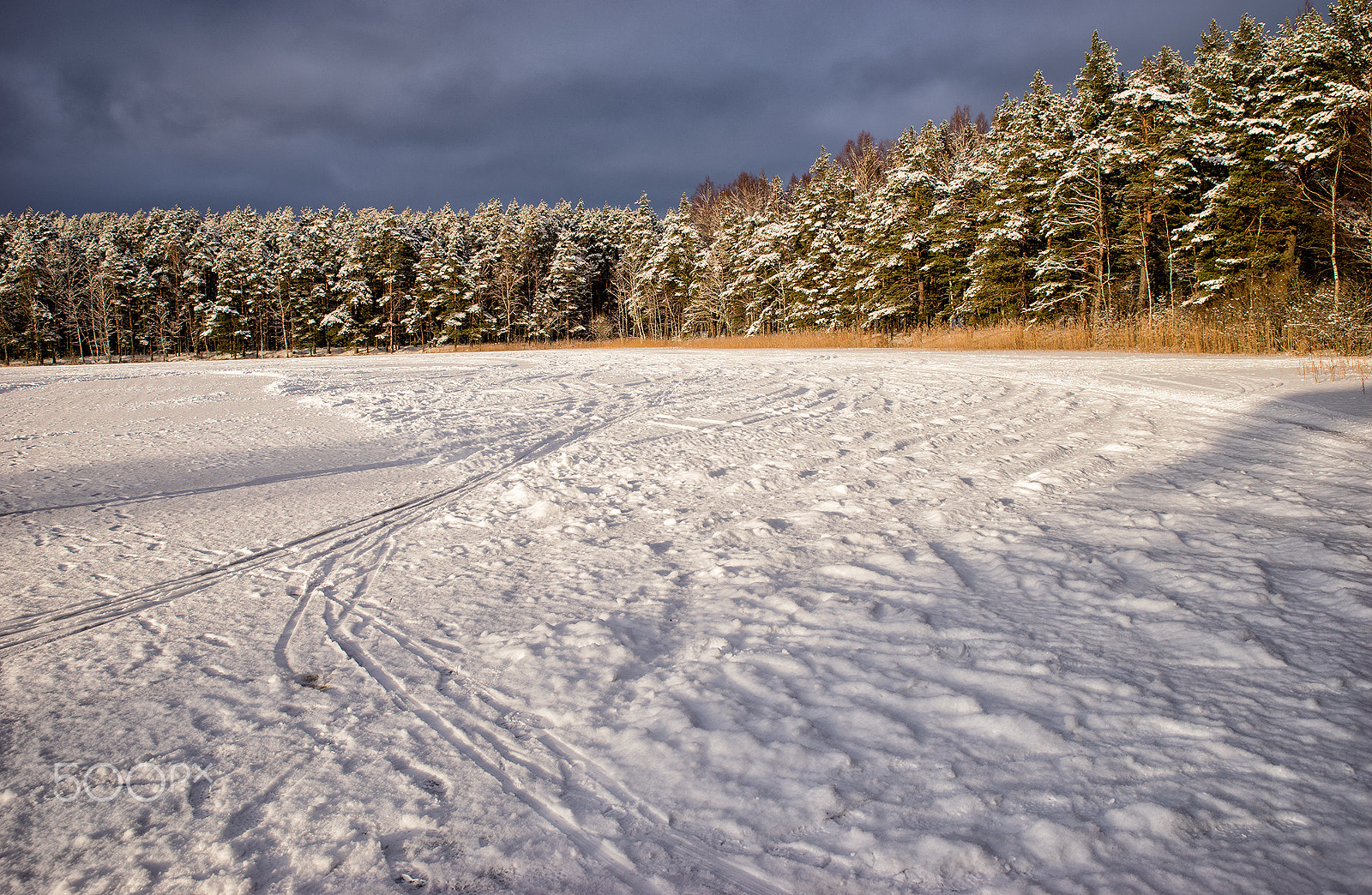 Sony a99 II sample photo. Winter. photography