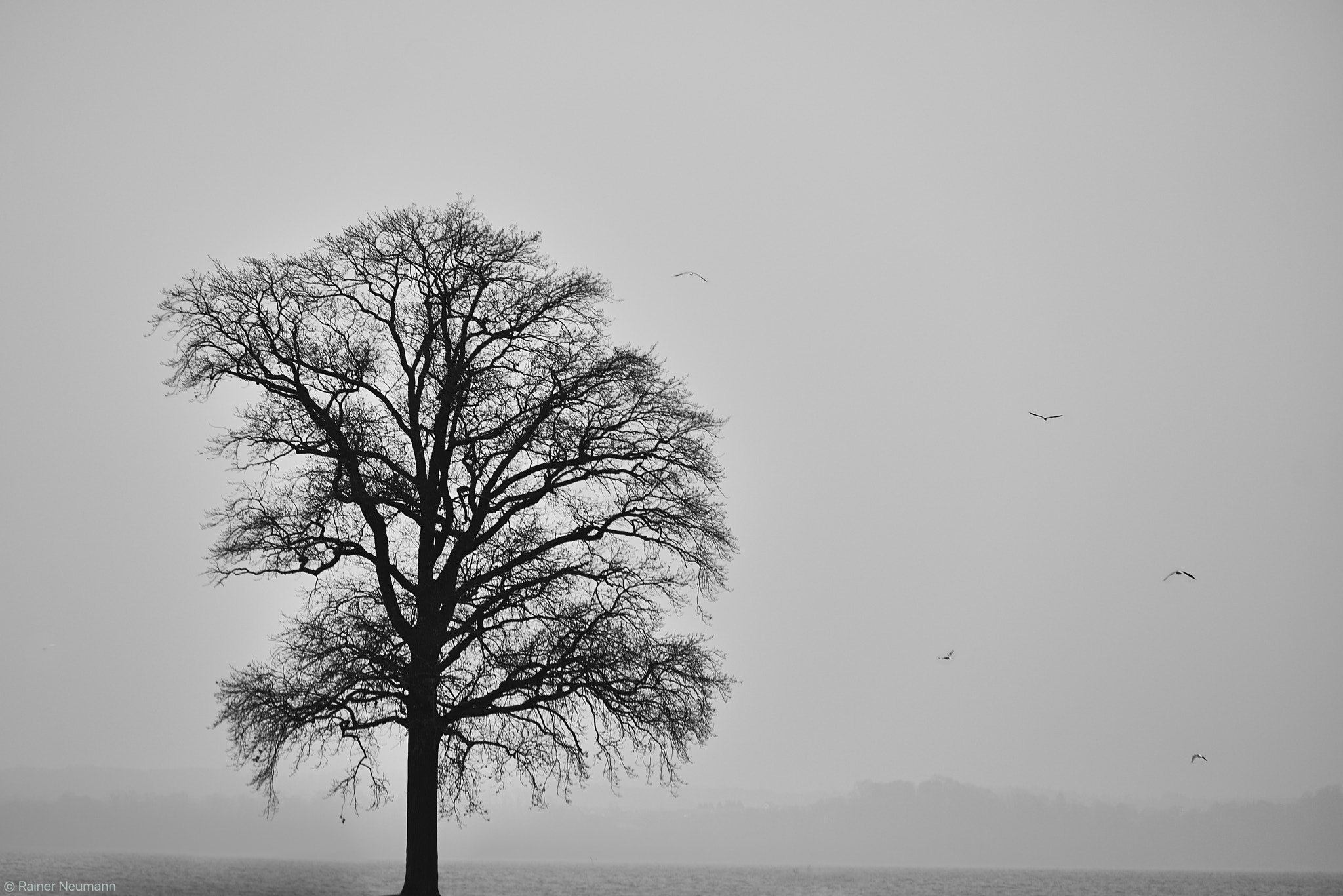 Sony FE 70-200mm F4 G OSS sample photo. Plüschow b&w photography