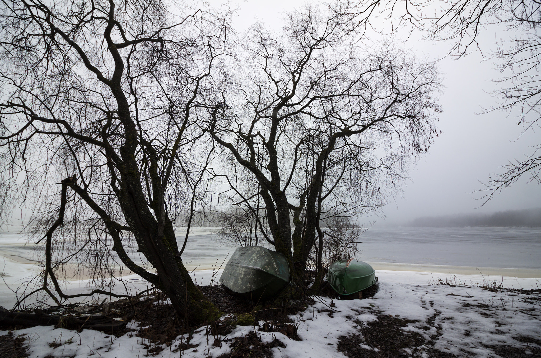 Canon EOS 500D (EOS Rebel T1i / EOS Kiss X3) sample photo. At the river daugava photography