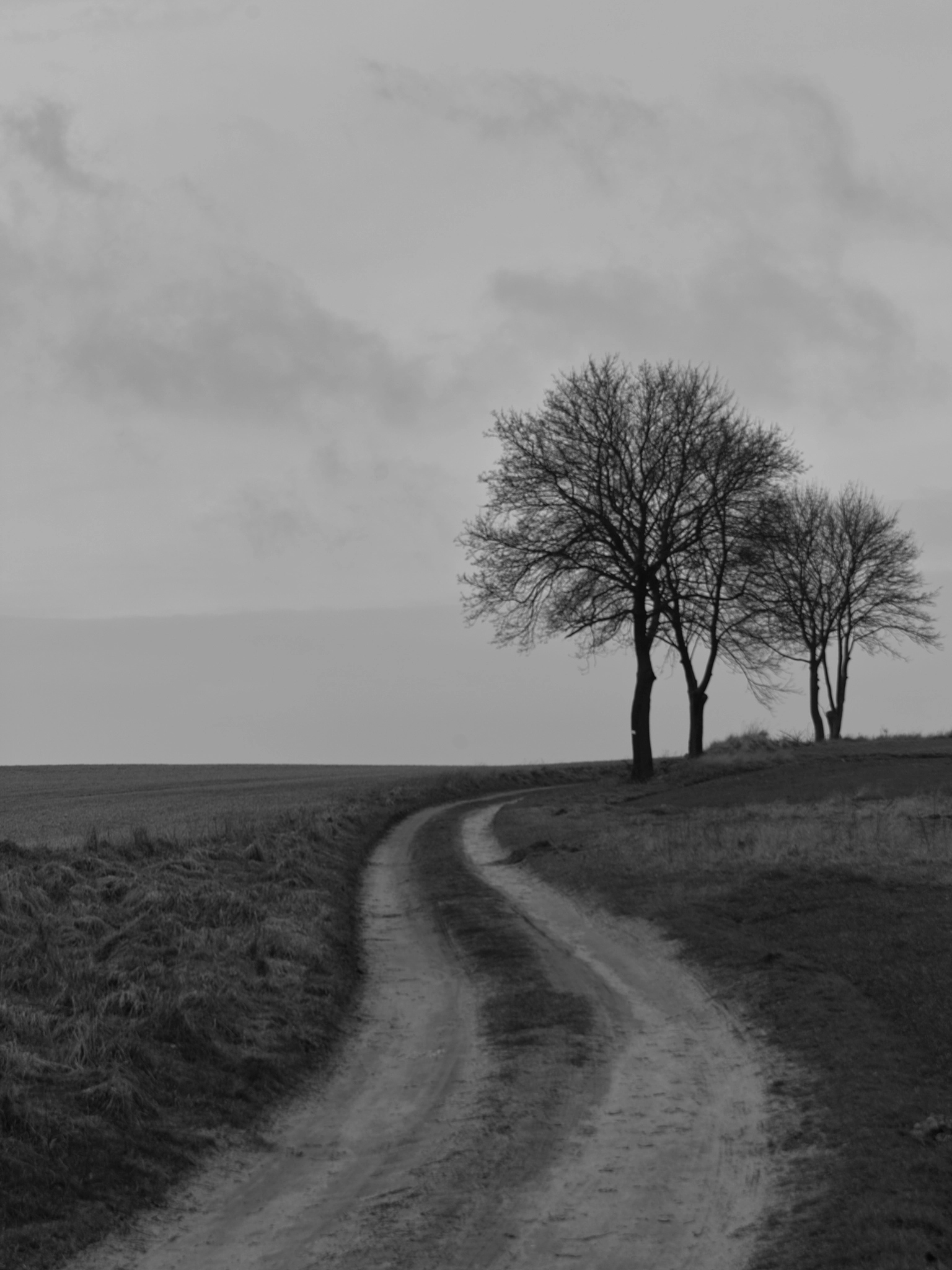 Sigma SD15 sample photo. All quiet on the road photography