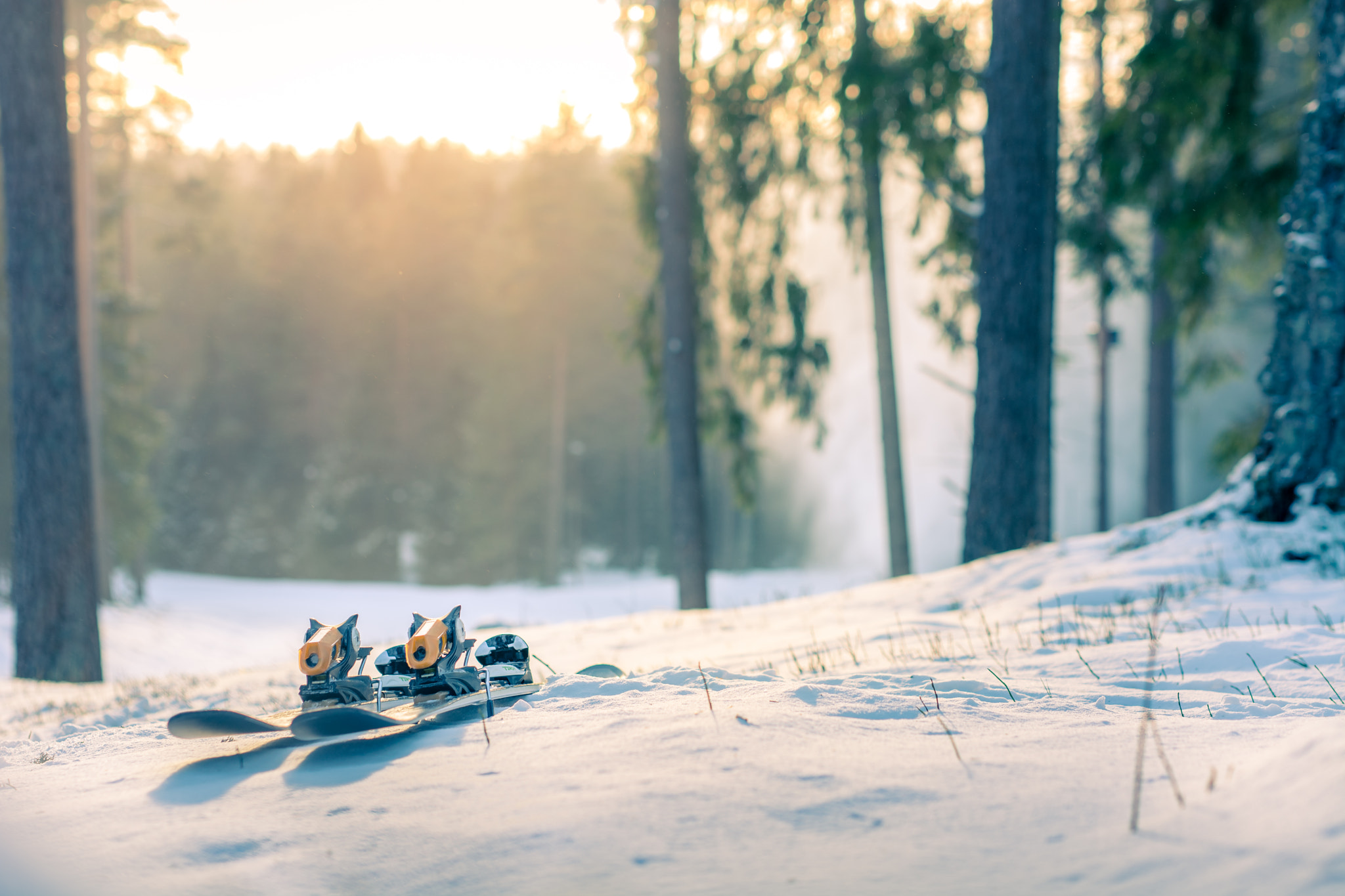 Nikon D5200 + Sigma 50mm F1.4 DG HSM Art sample photo. Mountain skis at sunset in snowy forest photography