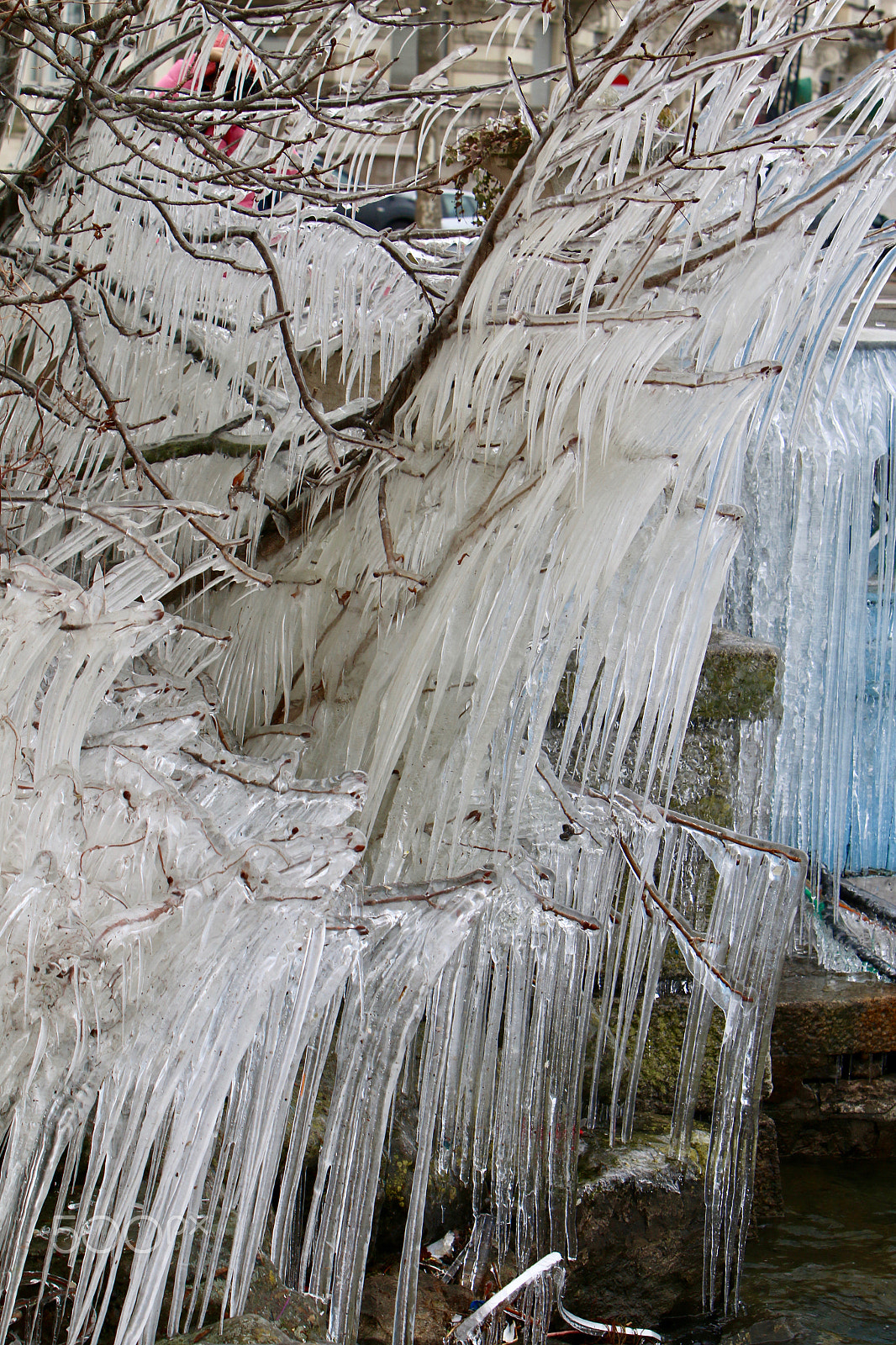 Canon EF 70-200mm F2.8L IS USM sample photo. Glacially tree at the lake photography