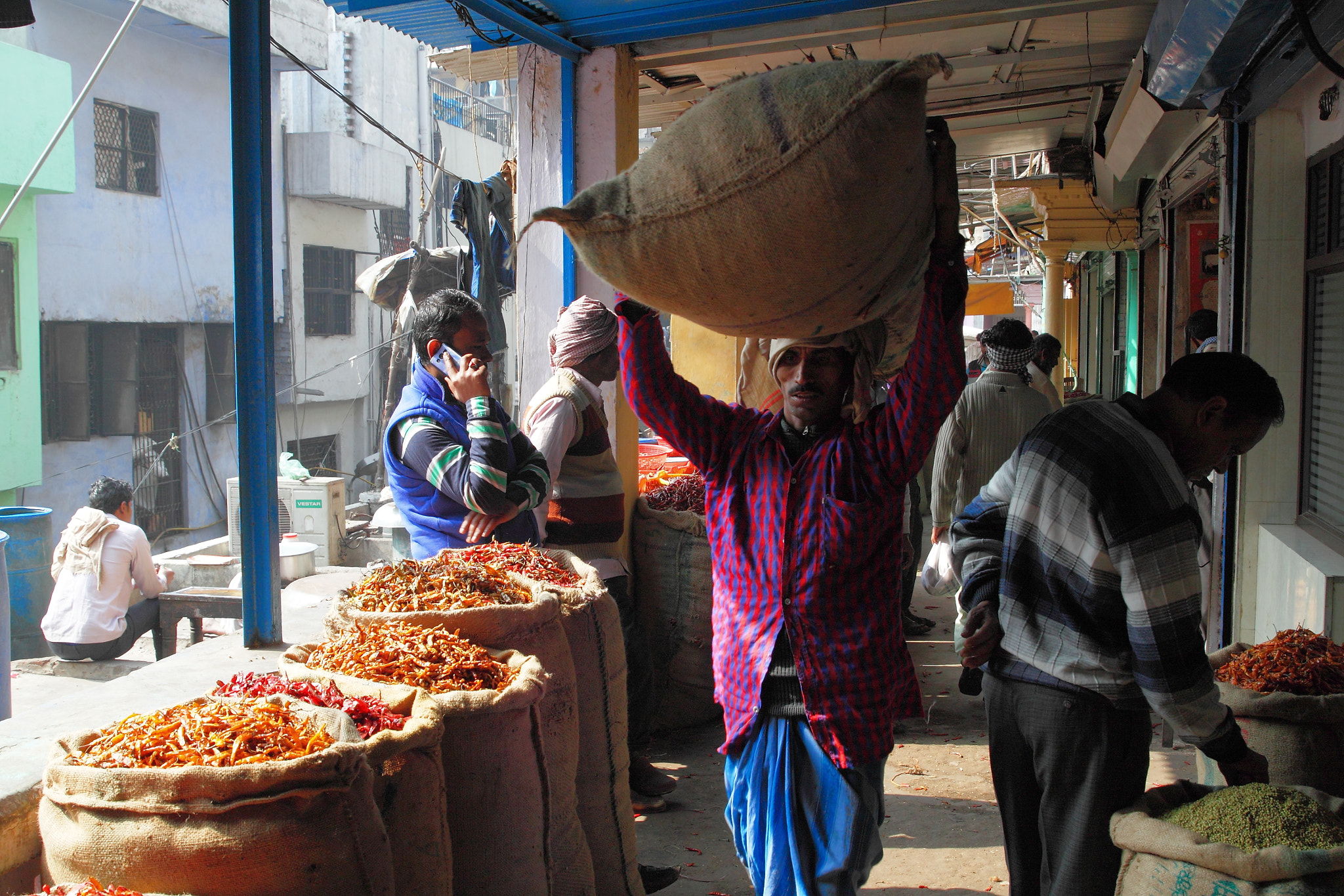 Canon EF 24-70mm F2.8L II USM sample photo. Gadodia market photography