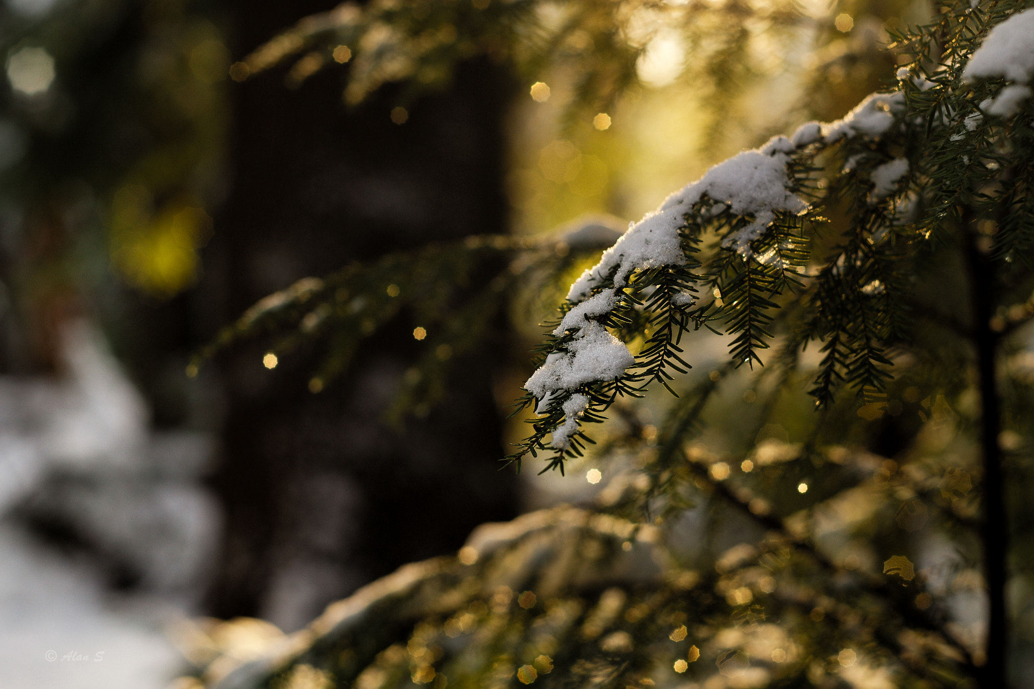 Leica APO-Summicron-M 75mm F2 ASPH sample photo. Sunset photography