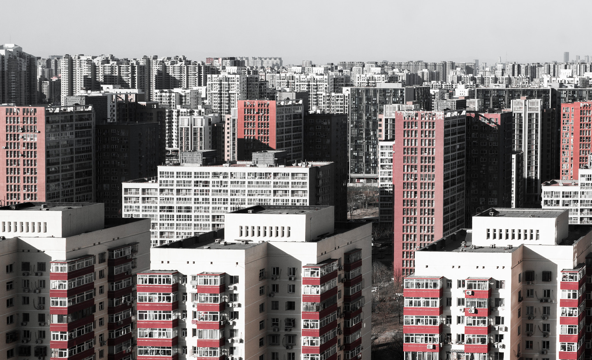 Olympus OM-D E-M10 II + Panasonic Leica DG Summilux 25mm F1.4 II ASPH sample photo. Forest of beijing photography
