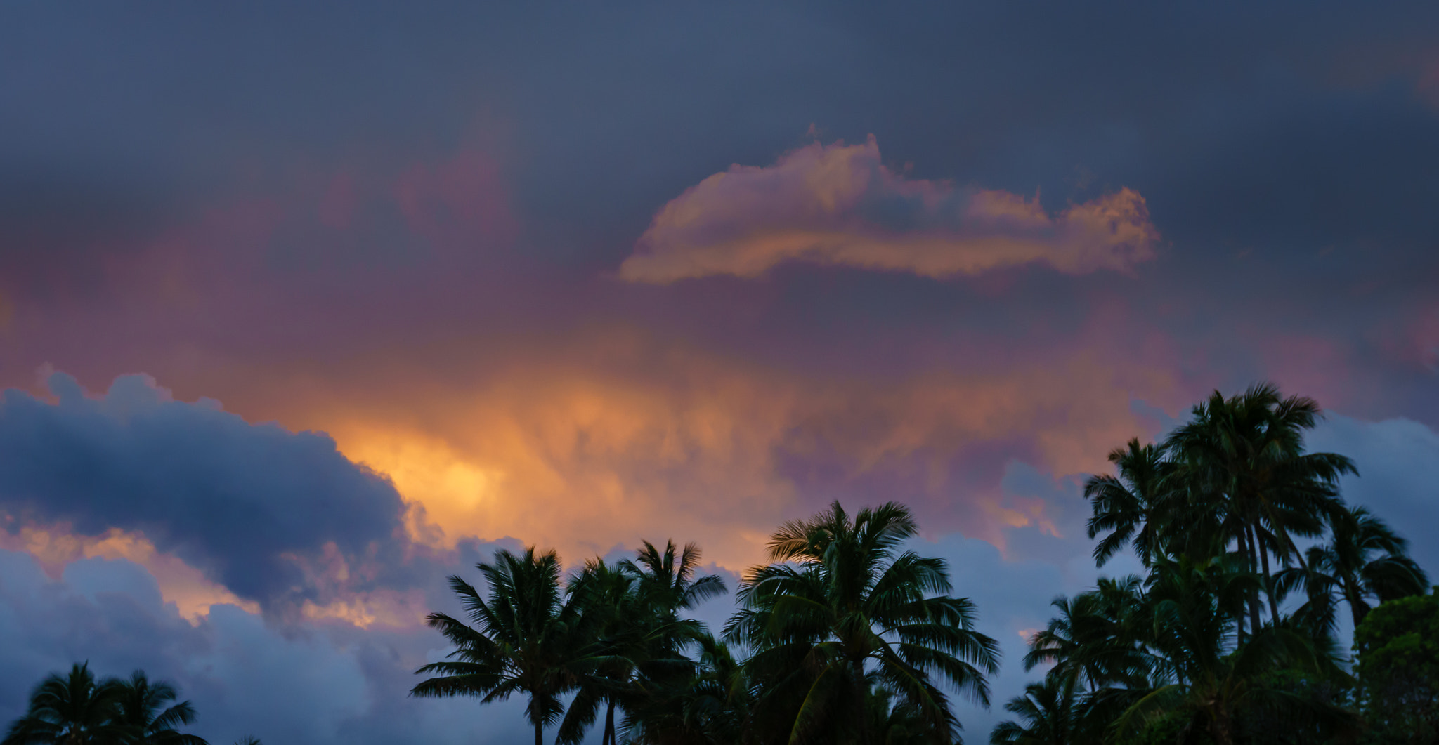 Sony a7R II + Canon EF 16-35mm F2.8L II USM sample photo. Dolphin skies photography