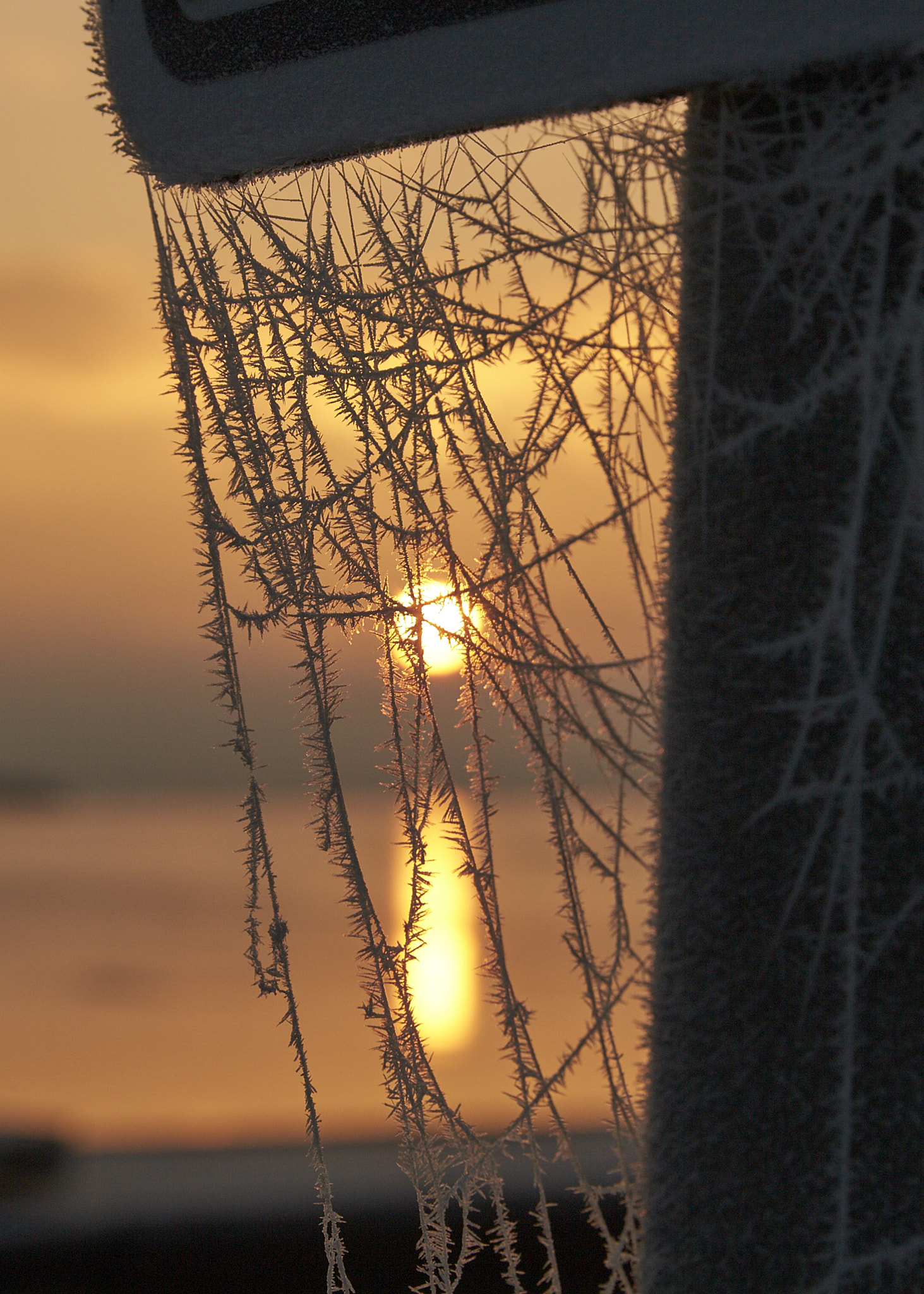 Sigma 24-105mm F4 DG OS HSM Art sample photo. Morning glow photography