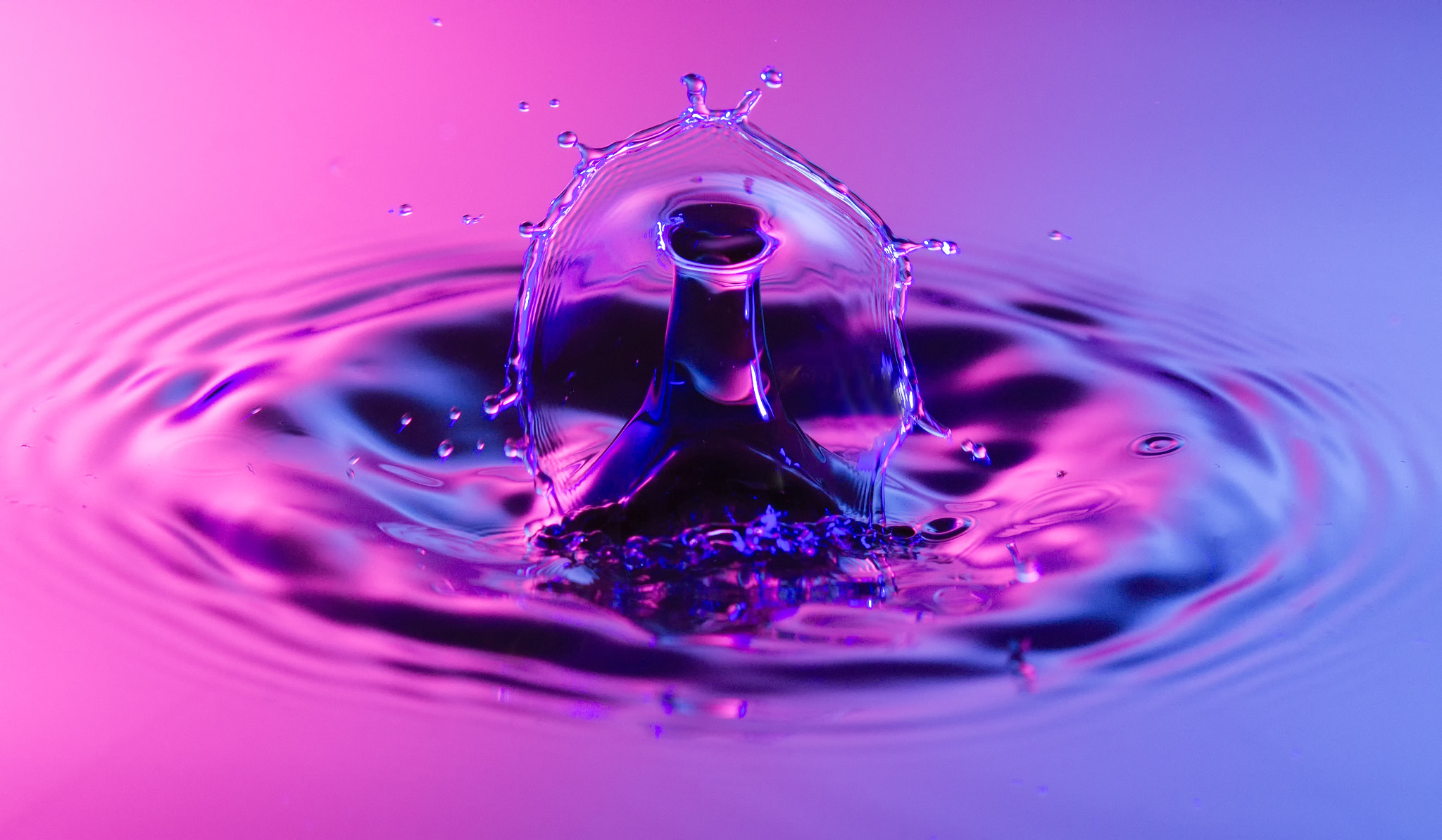Canon EF 100mm F2.8 Macro USM sample photo. Purple splash photography