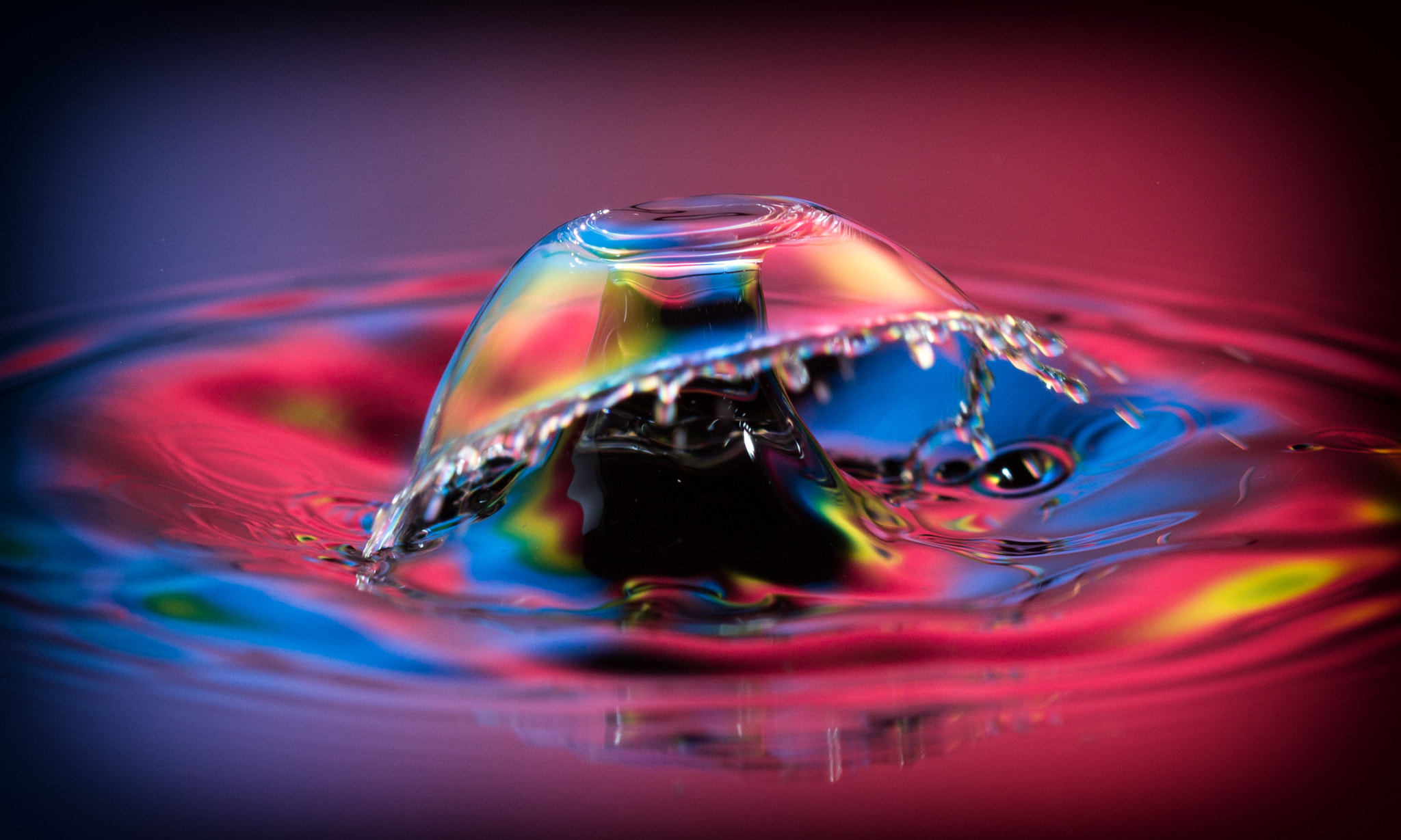Canon EF 100mm F2.8 Macro USM sample photo. Magic mushroom ;) photography