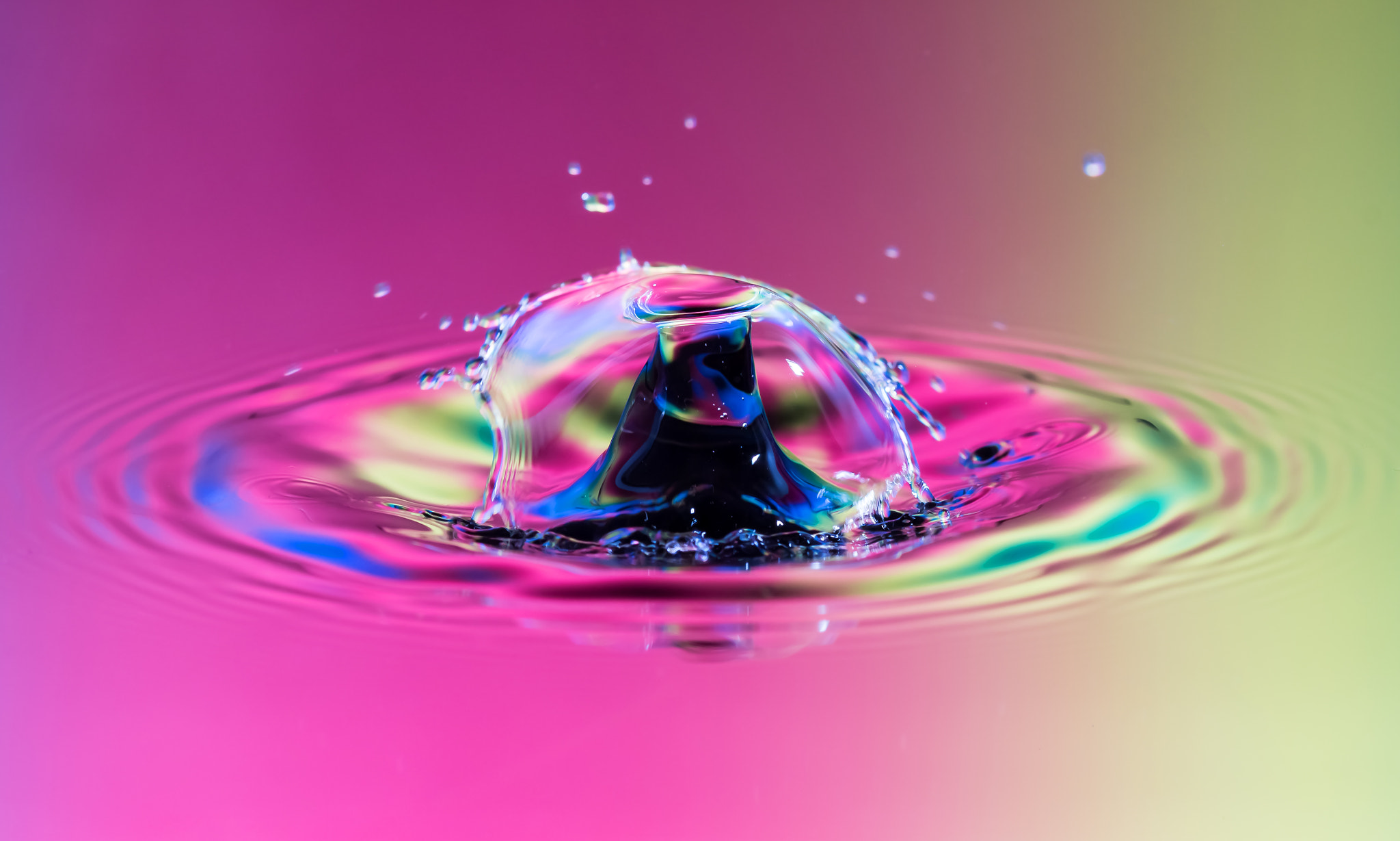Canon EF 100mm F2.8 Macro USM sample photo. Rainbow umbrella photography