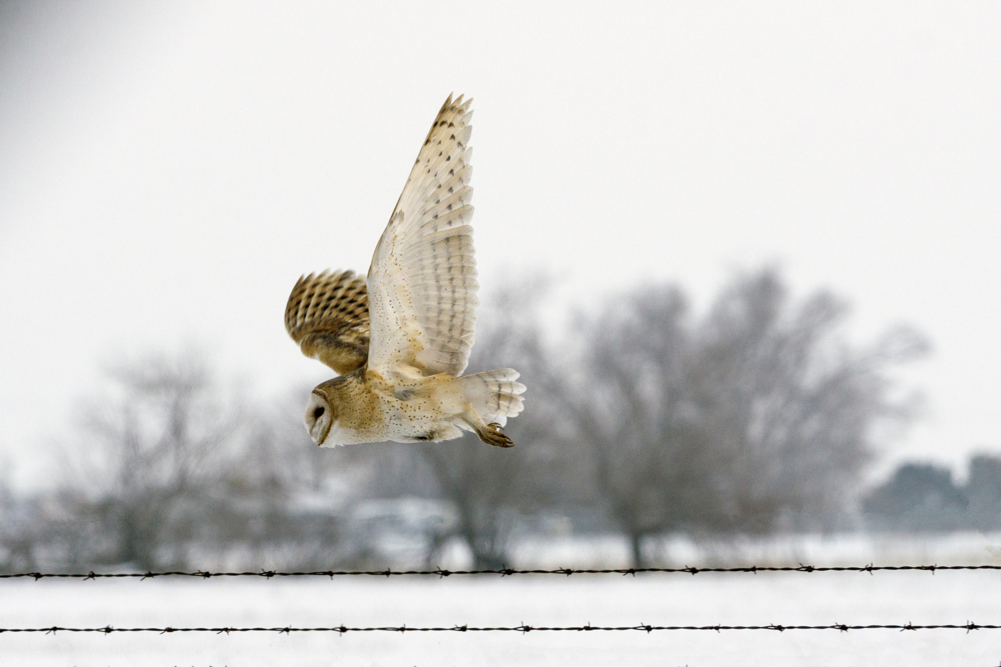Sony a6000 + Sony FE 70-200mm F4 G OSS sample photo. Soft photography