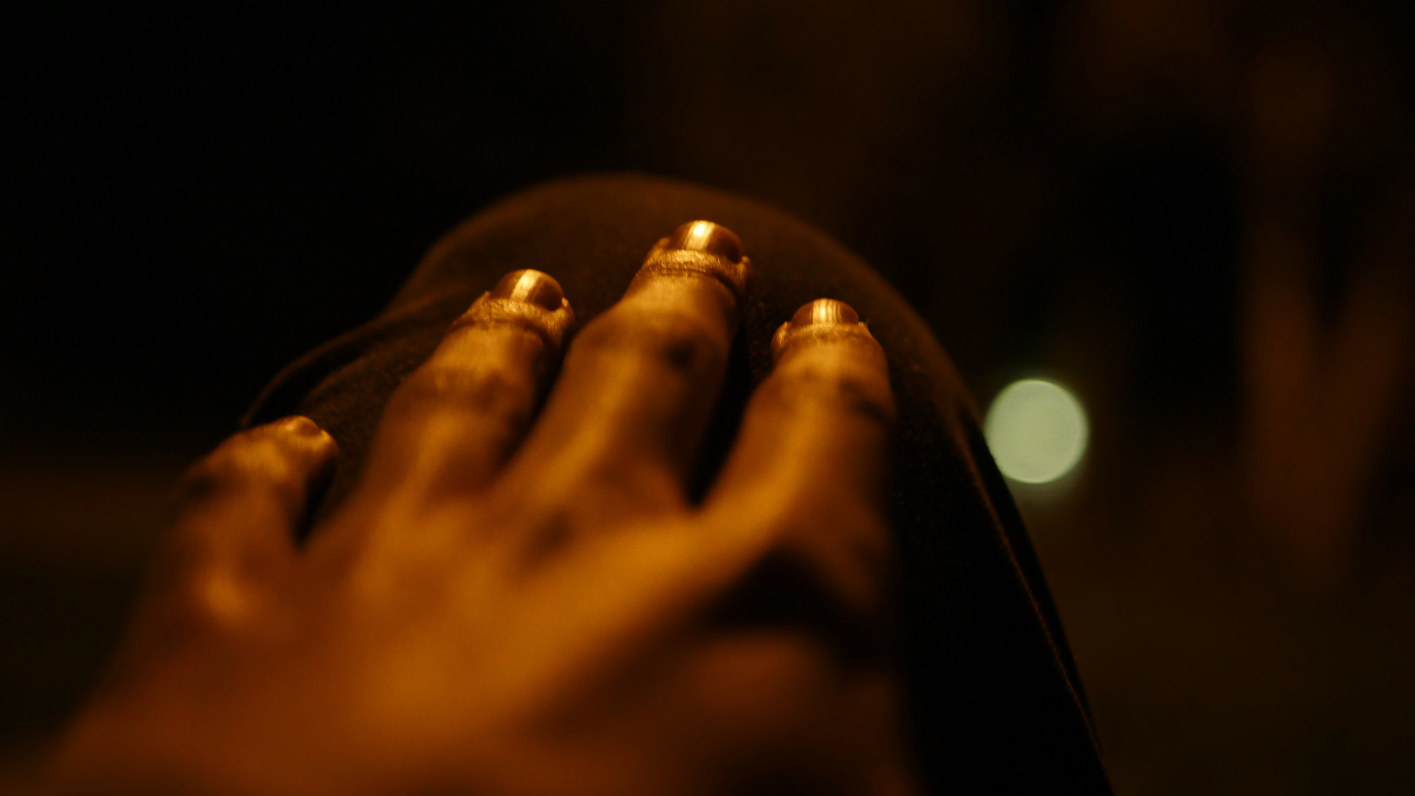 Panasonic Lumix DMC-GH4 + LUMIX G 25/F1.7 sample photo. Portfolio image photography