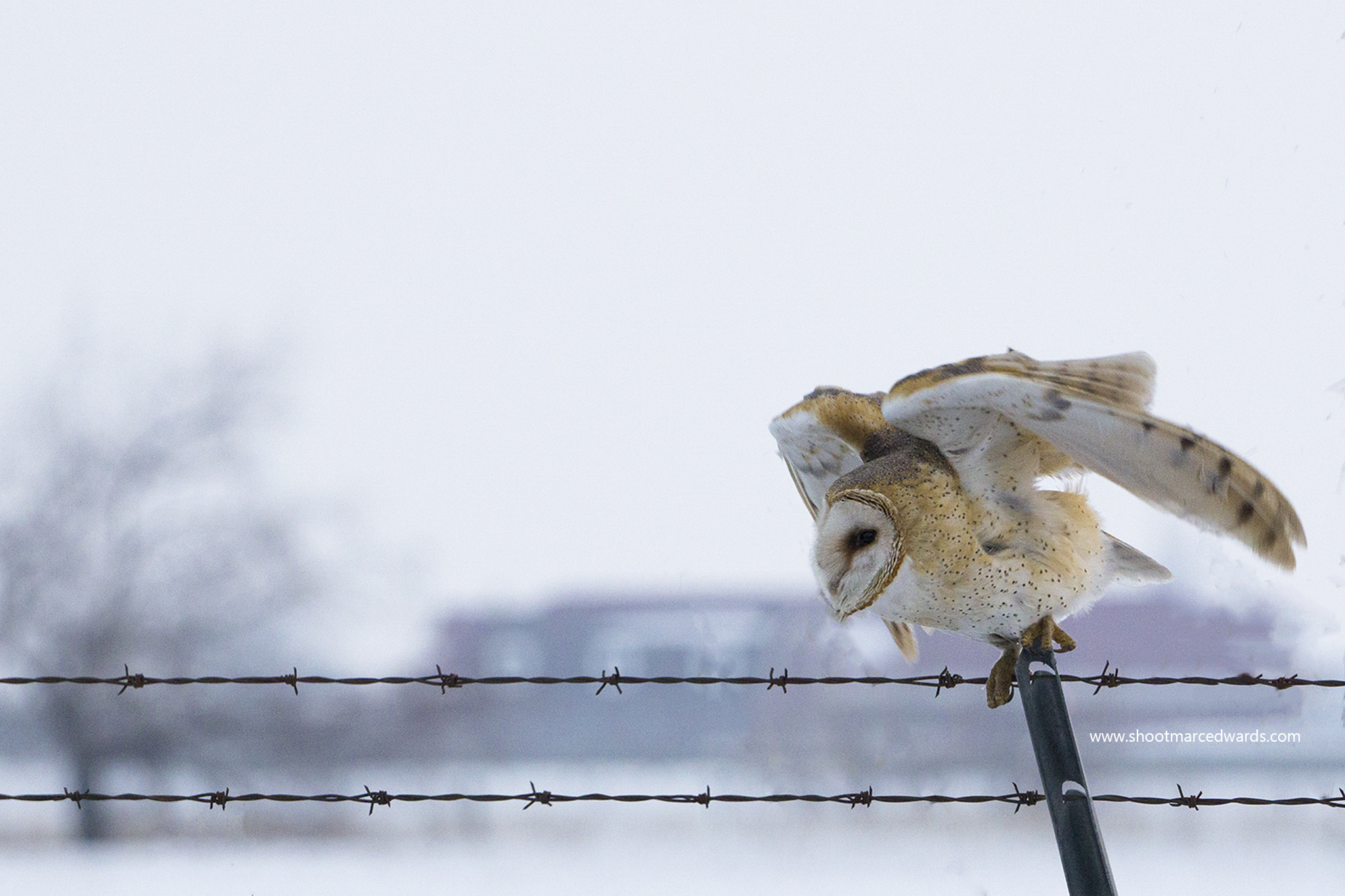 Sony a6000 + Sony FE 70-200mm F4 G OSS sample photo. Check photography