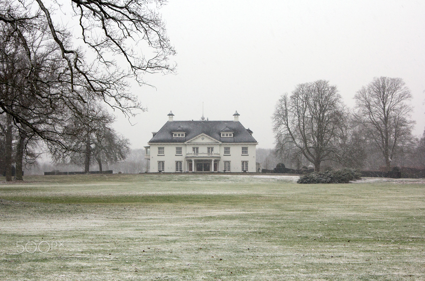 Canon EOS 60D sample photo. Zonnebeek in snow photography