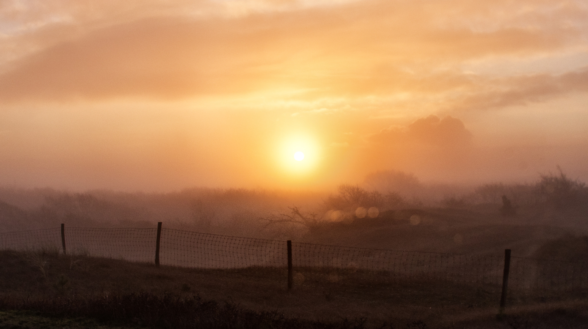 Pentax K-5 sample photo. Misty morning field photography
