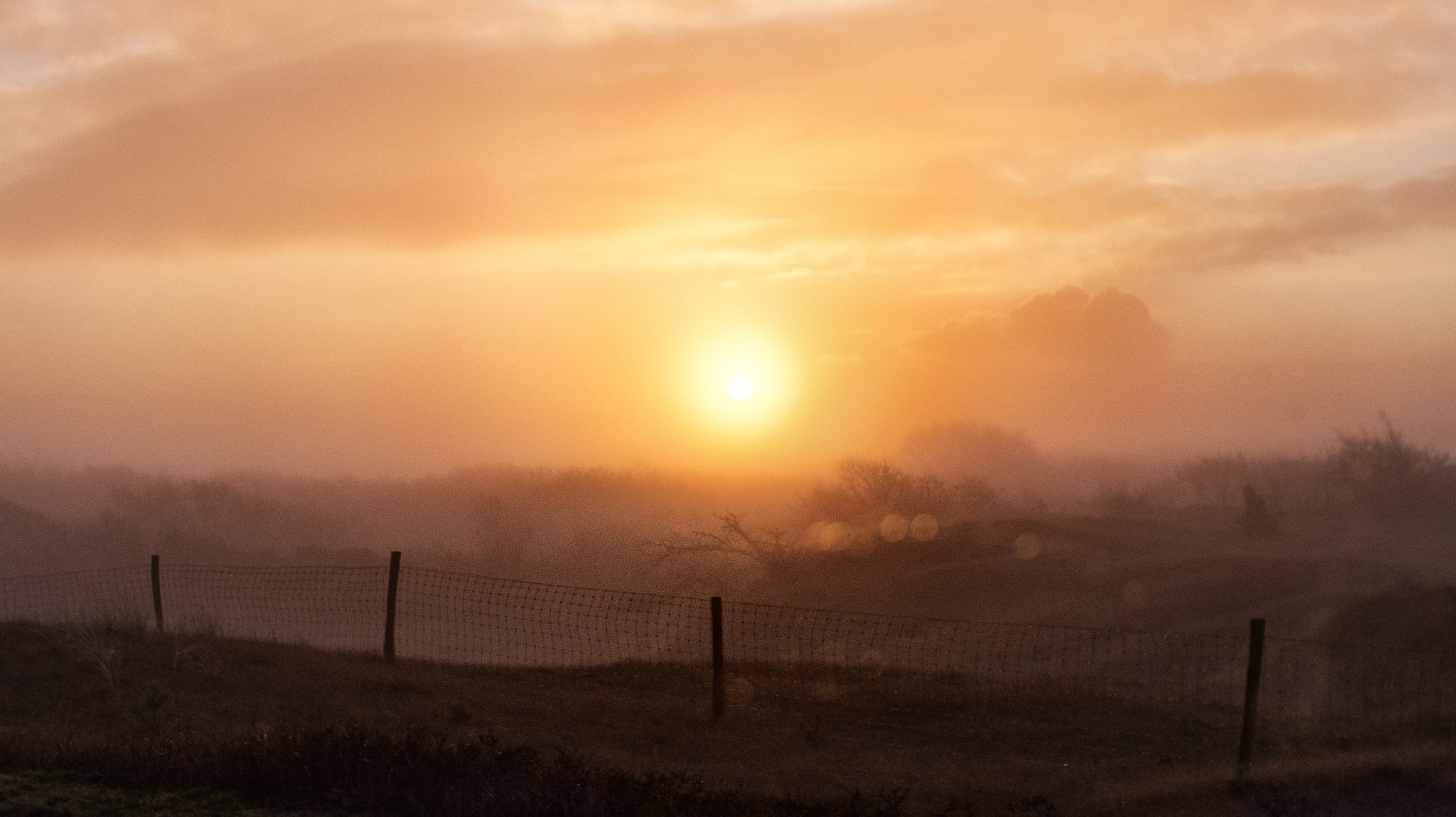 Pentax K-5 + Sigma sample photo. Misty morning field photography