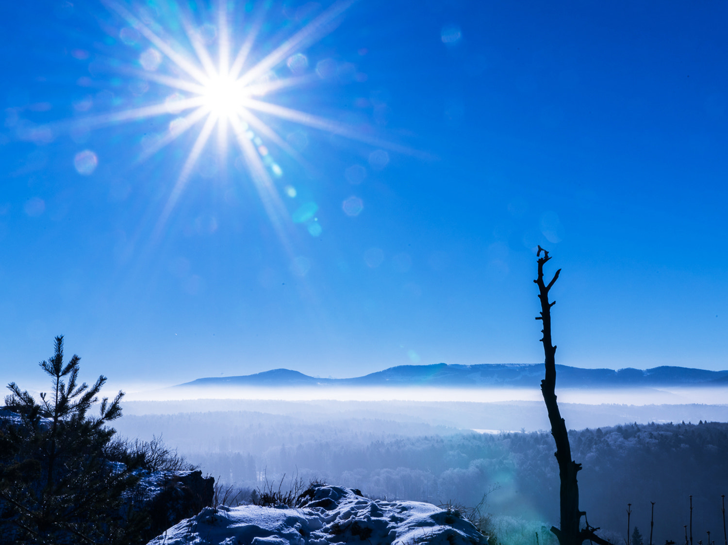 Sony a7R II + Sony 28-75mm F2.8 SAM sample photo. On a cold morning photography