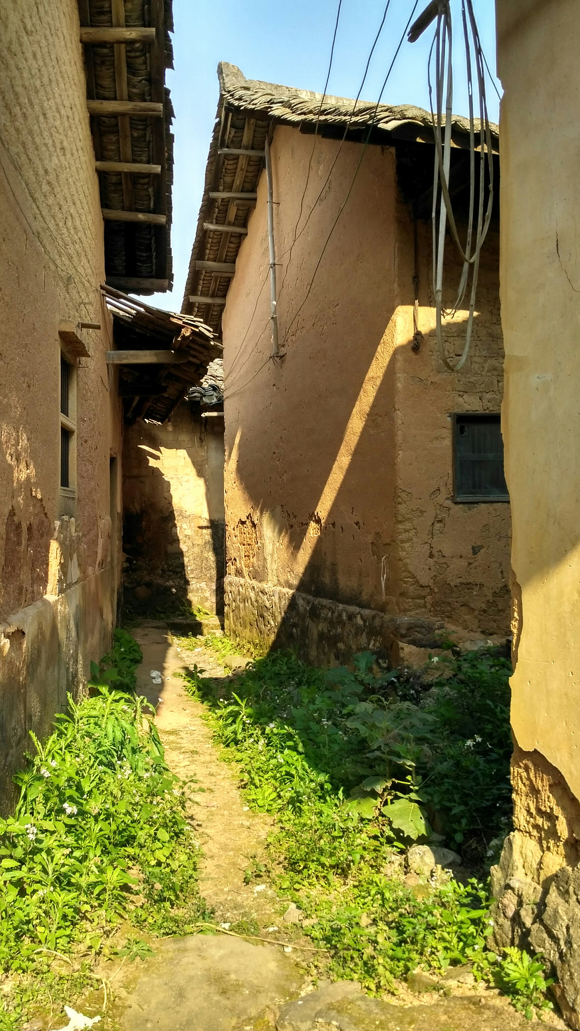 Xiaomi Redmi 3X sample photo