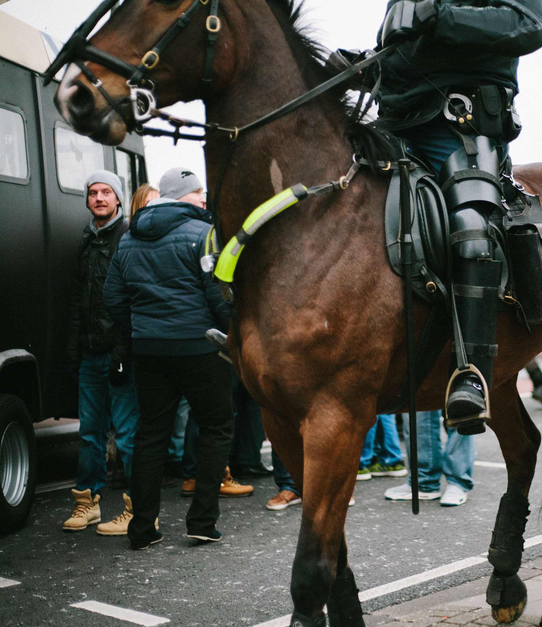 Canon EOS 5D + Canon EF 50mm F1.8 STM sample photo. Police horse photography