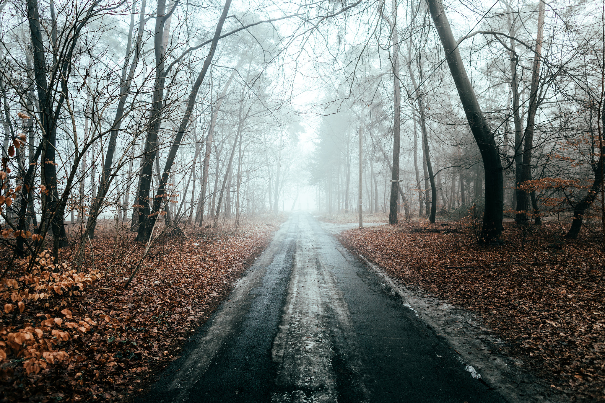 Canon EF 24mm F1.4L II USM sample photo. Misty mood photography