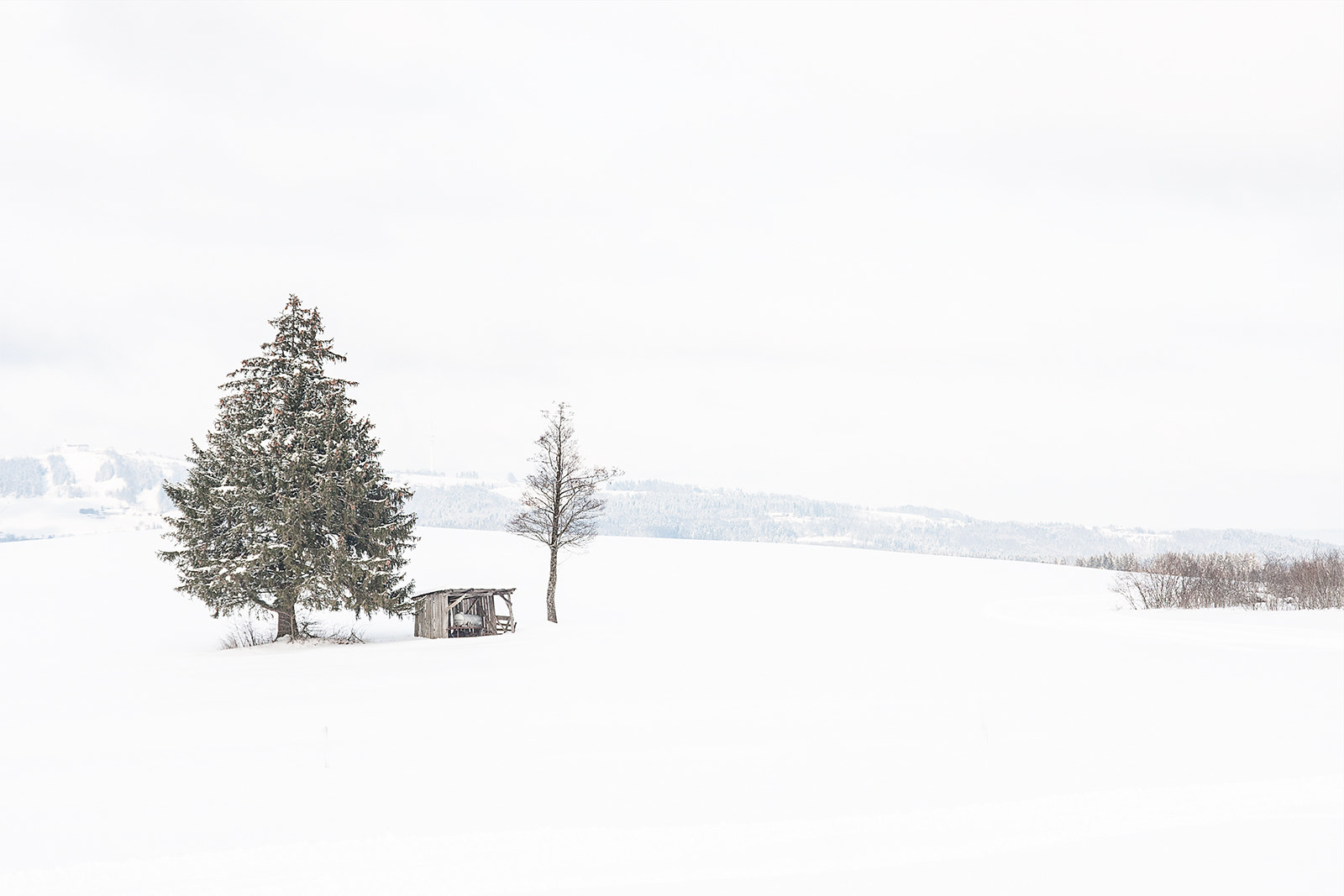 Canon EOS 40D sample photo. Snow photography