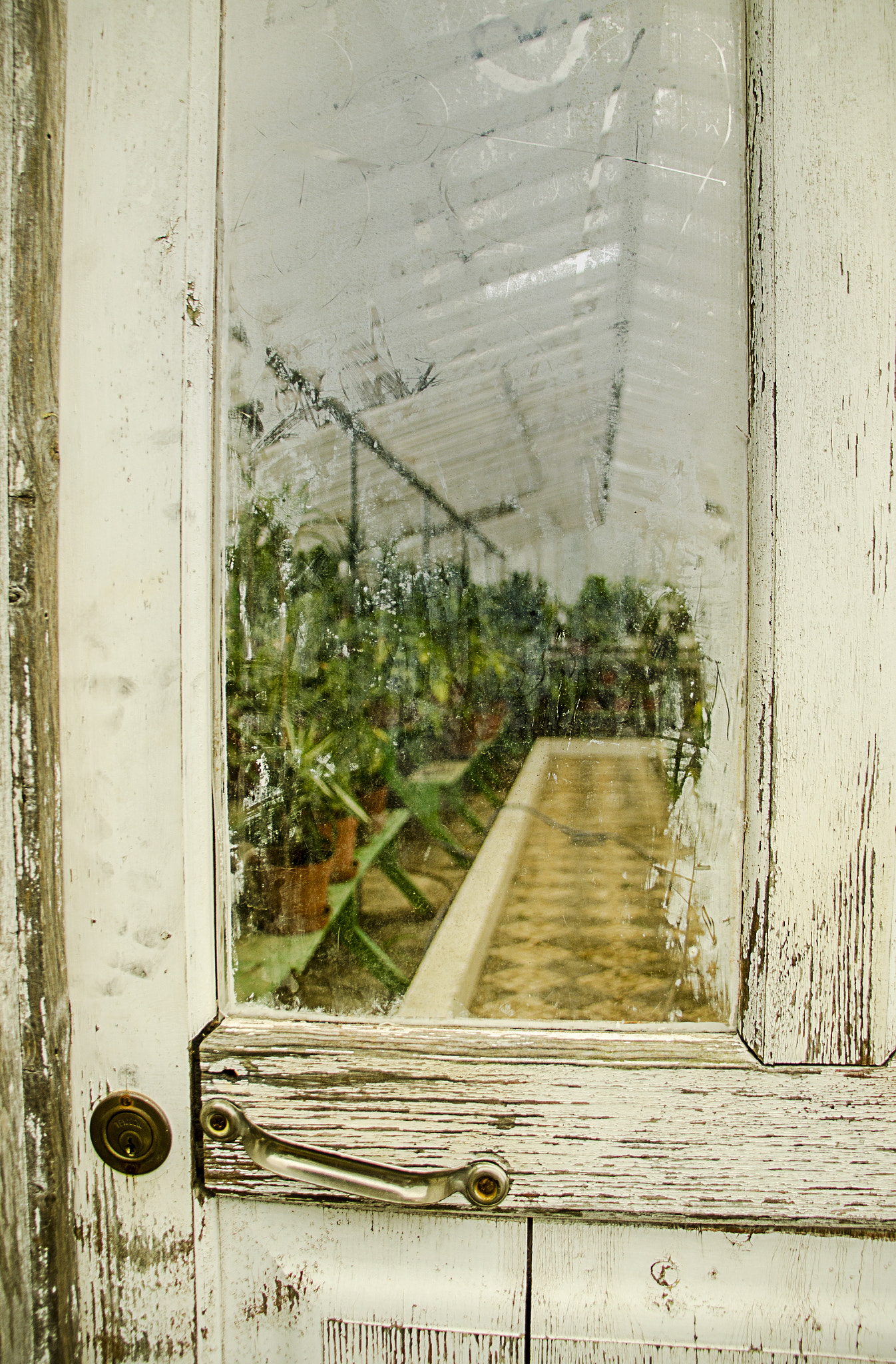 Sigma 18-200mm F3.5-6.3 DC OS HSM sample photo. Gardenhouse photography