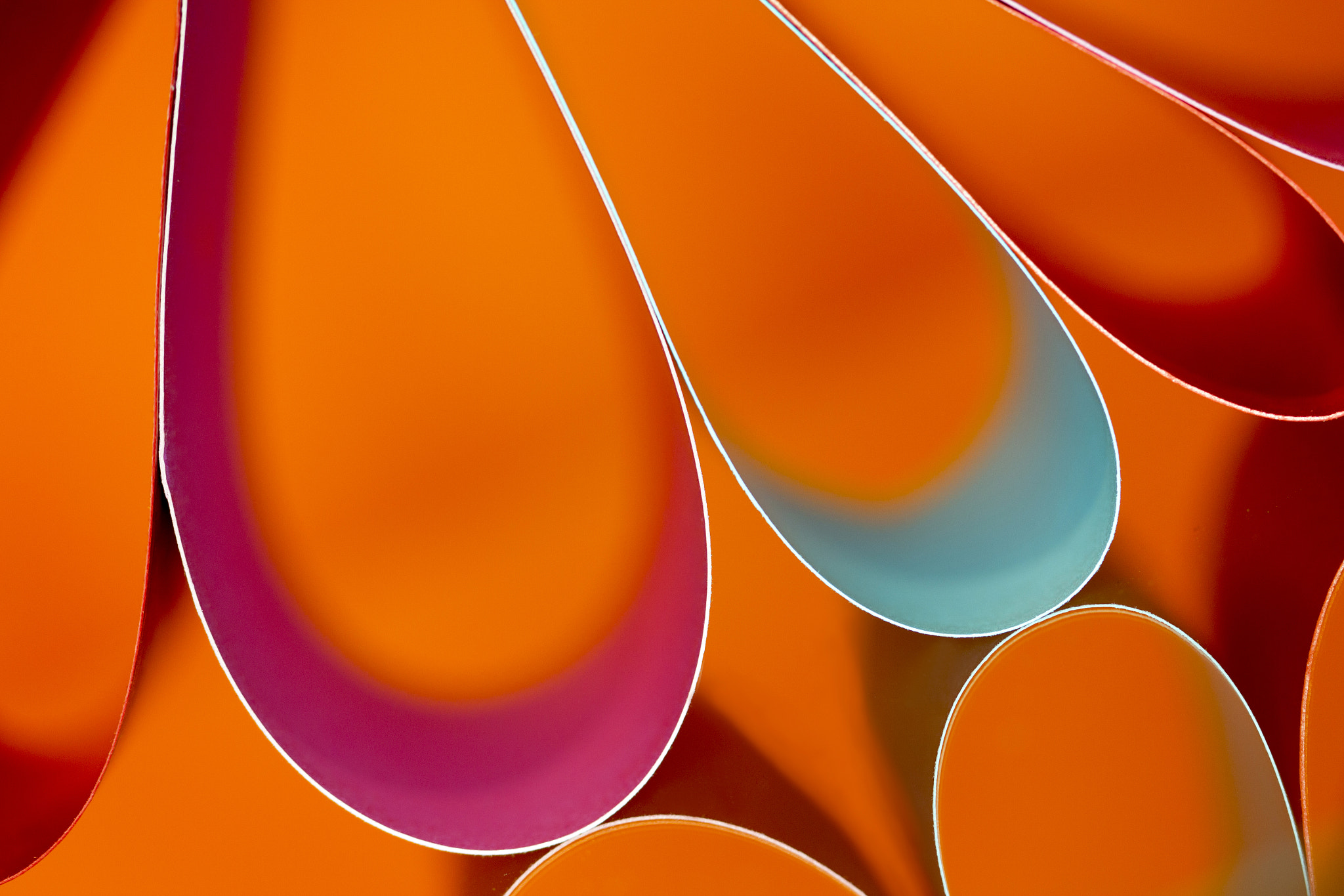 Canon EF 100mm F2.8 Macro USM sample photo. Paper art iv photography