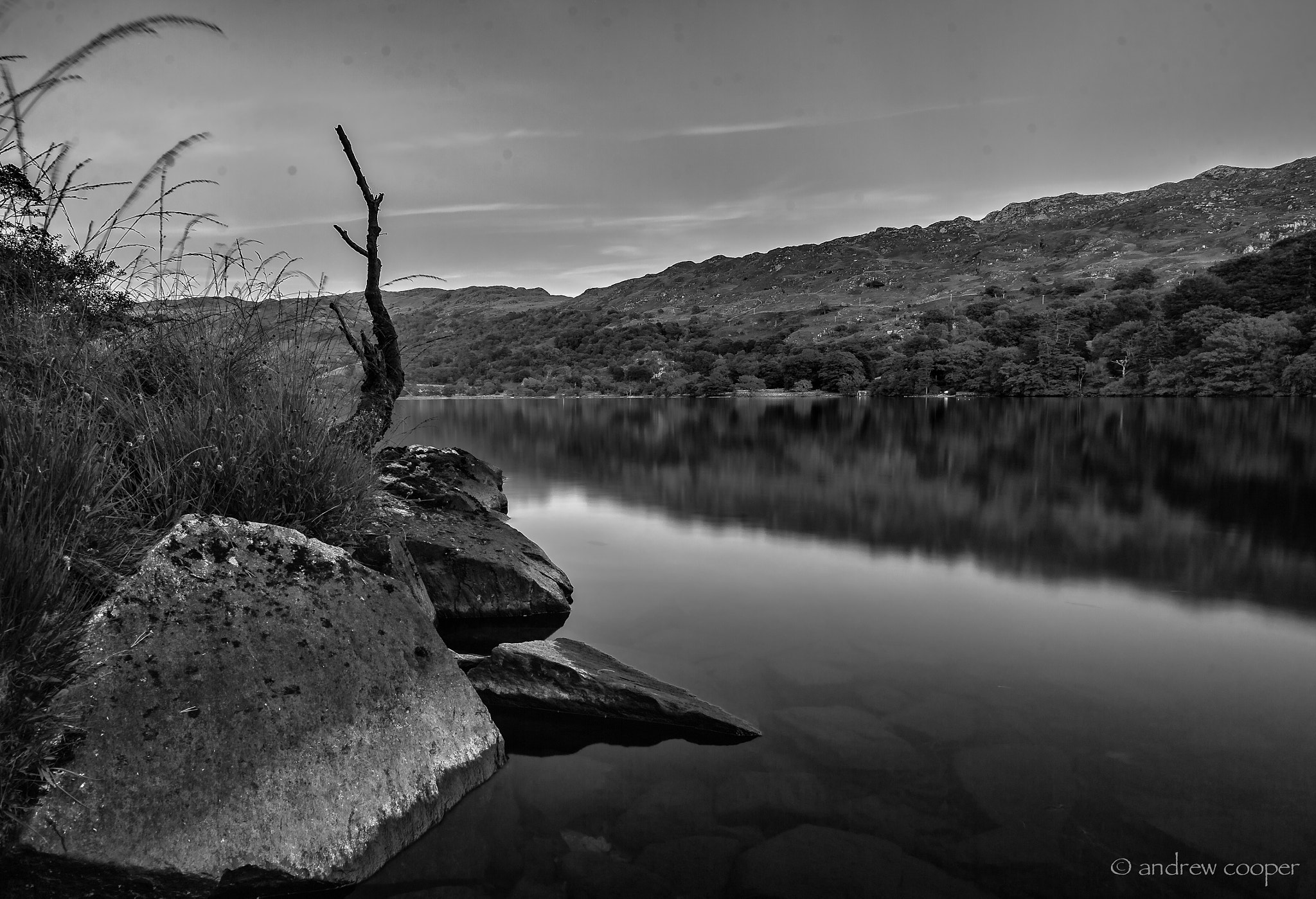 Nikon Df + Nikon AF-S Nikkor 20mm F1.8G ED sample photo. Stillness photography