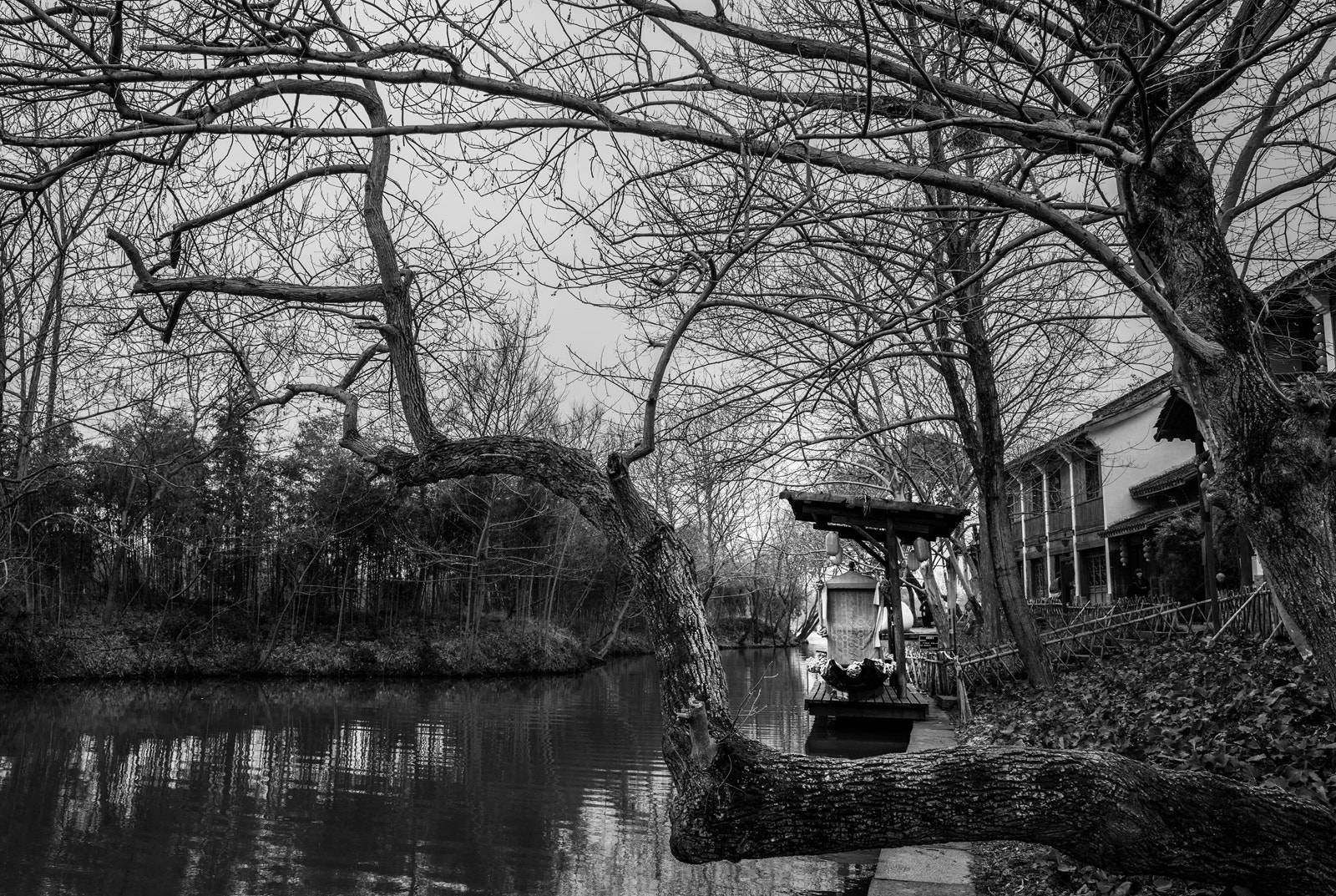 ZEISS Batis 25mm F2 sample photo