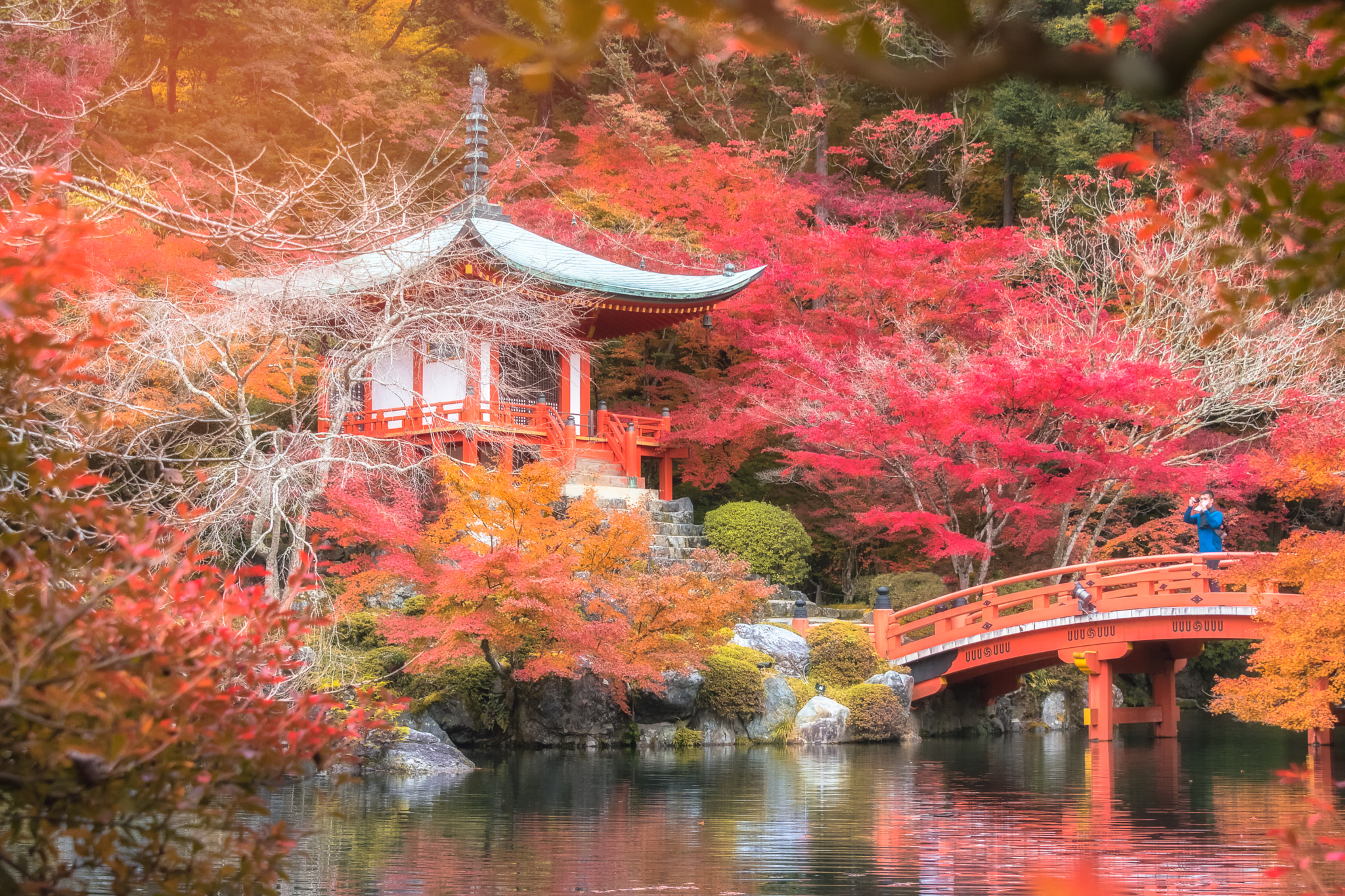 Nikon D5500 sample photo. Intention daigoji photography