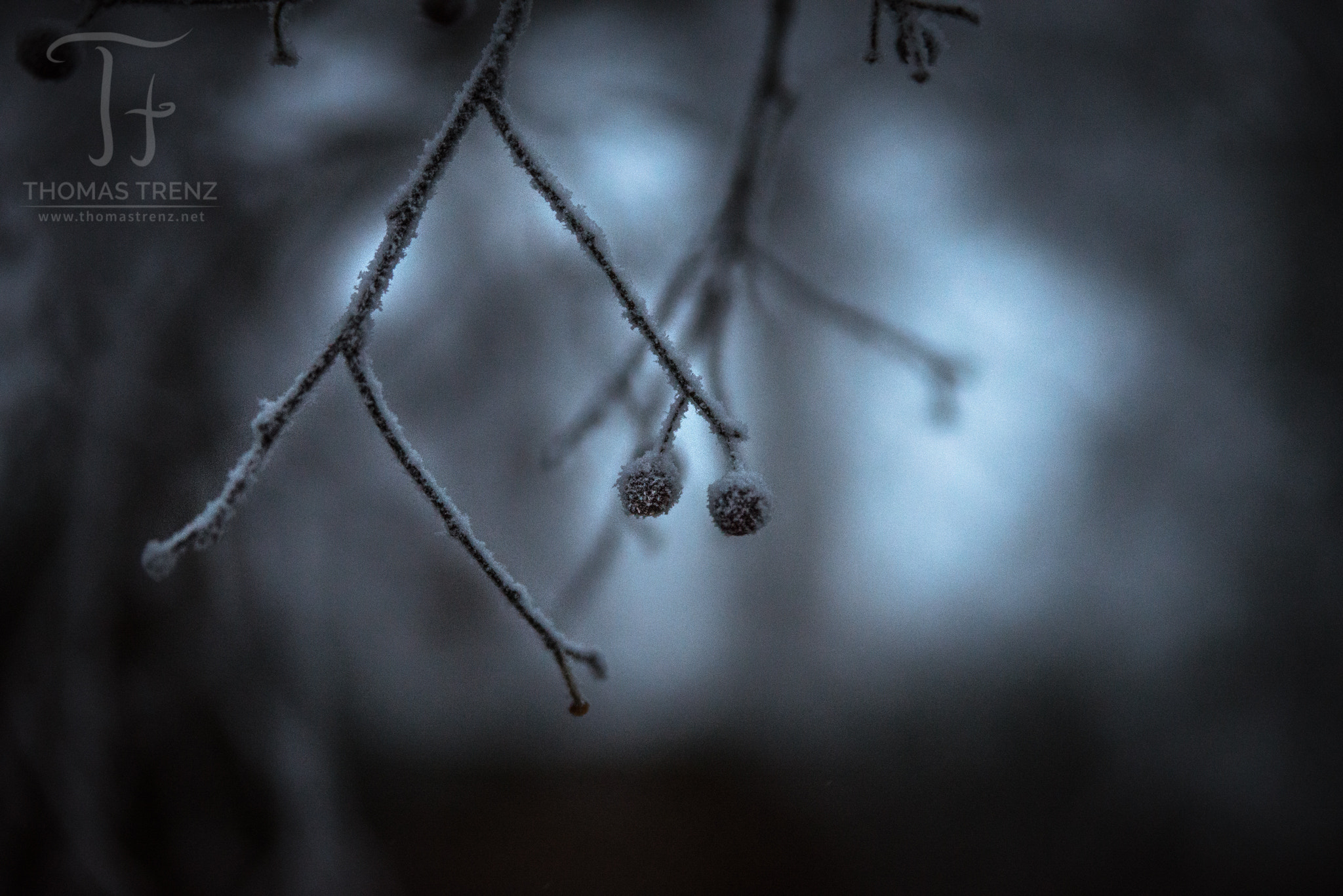 Nikon D600 sample photo. Dark ice photography