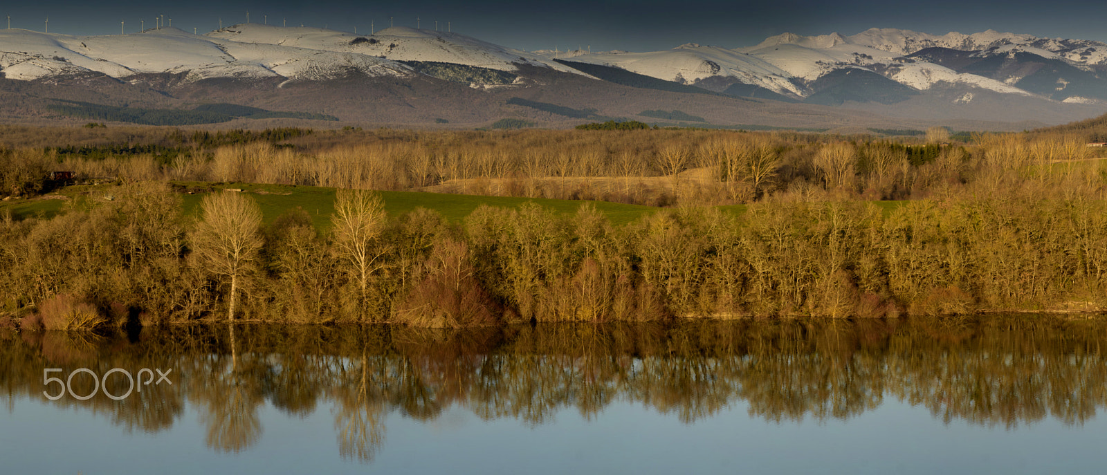 Olympus OM-D E-M5 II sample photo. Preludio de la primavera / spring prelude photography