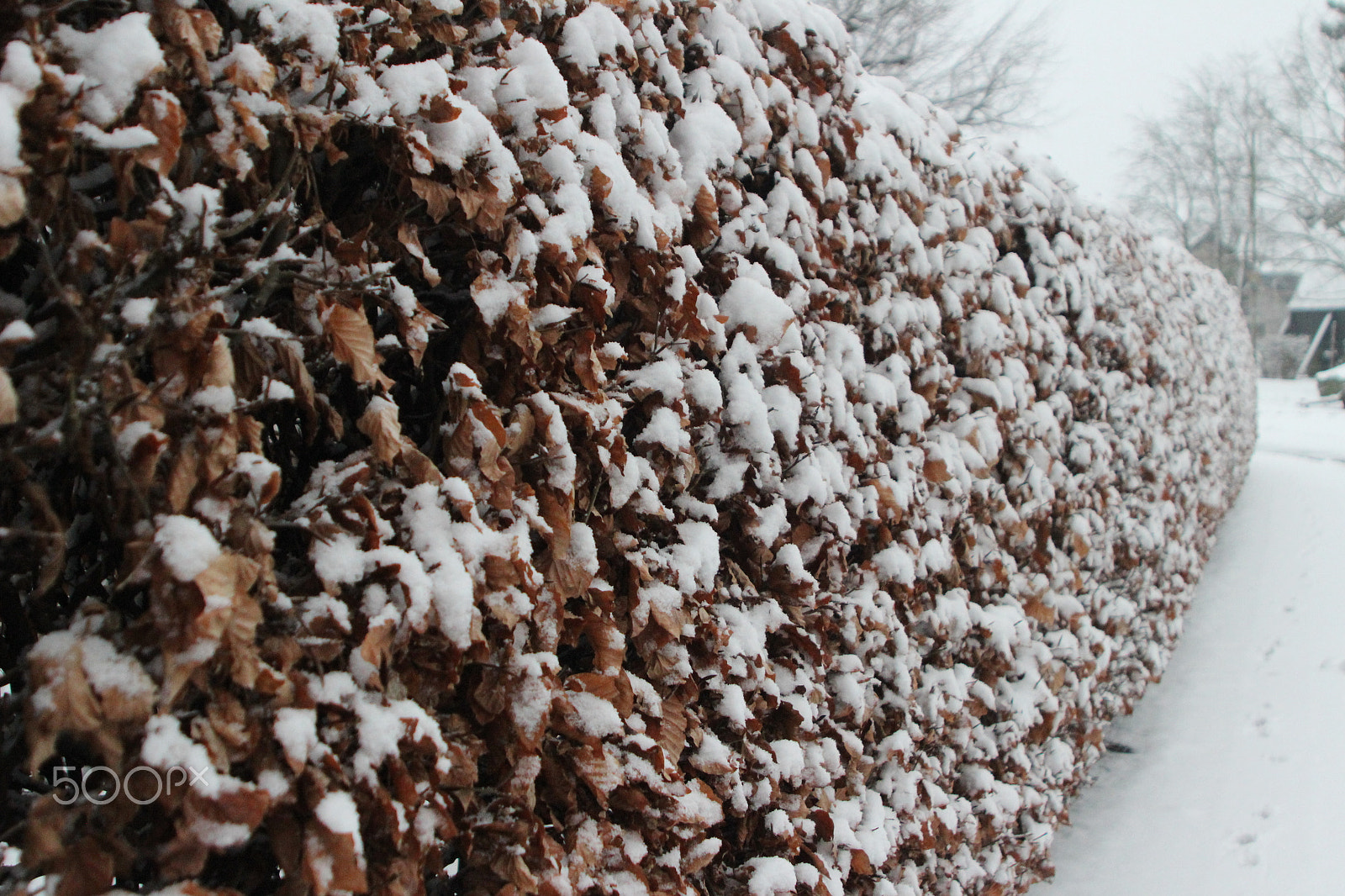 Canon EF 28-105mm f/3.5-4.5 USM sample photo. Snowy landscape - germany 01 photography